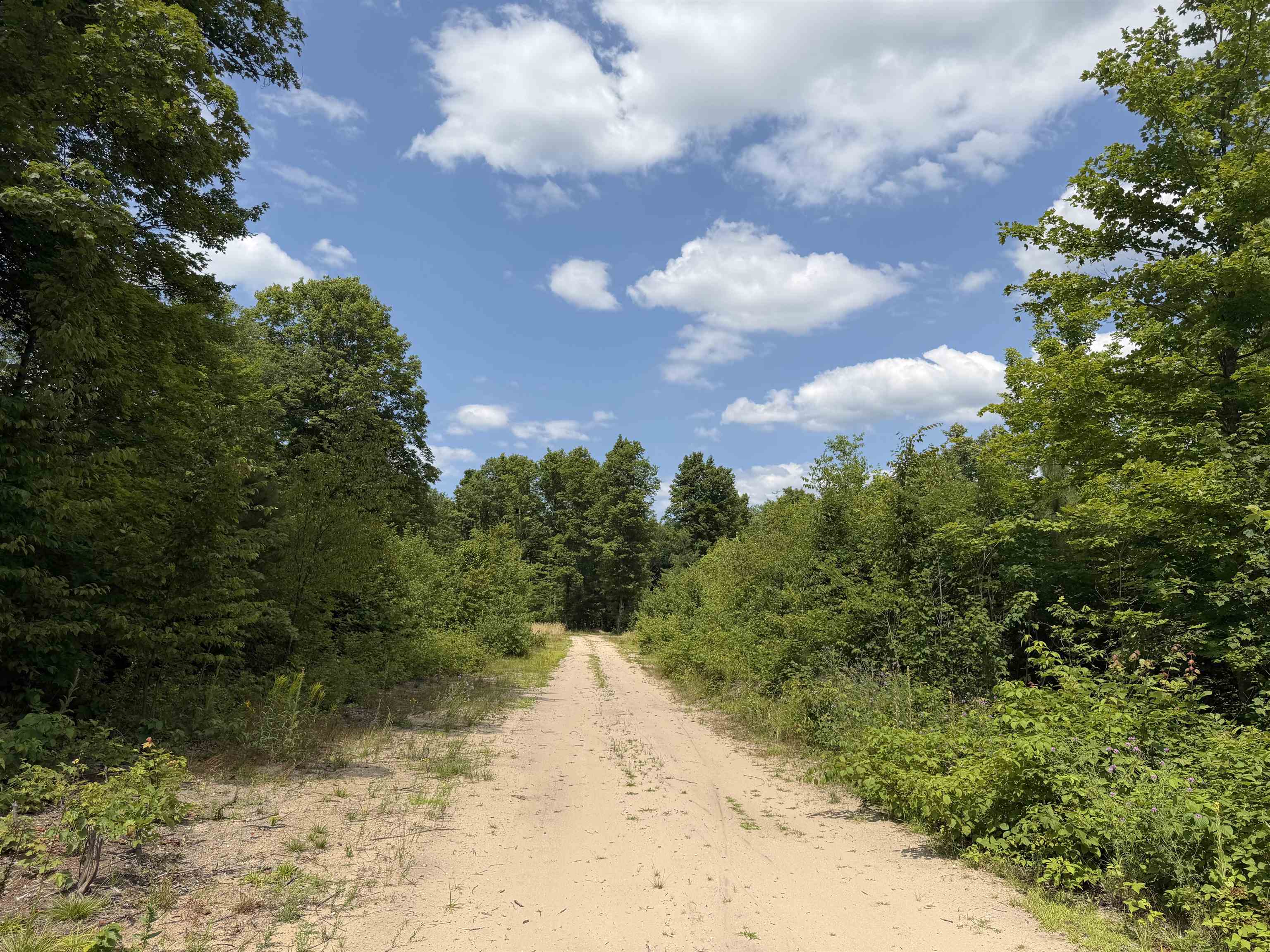 3rd image of 13544 Aylsworth Rd, Beulah, MI 49617 | MLS# 80065940
