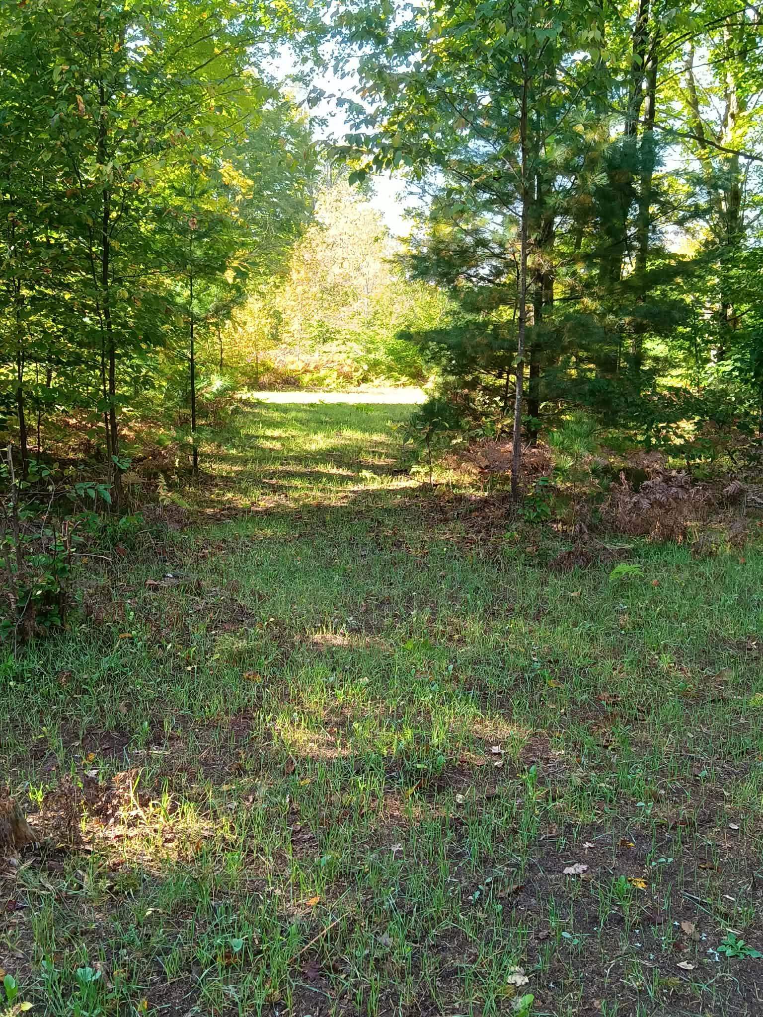 13544 Aylsworth Road, Beulah, MI, 49617