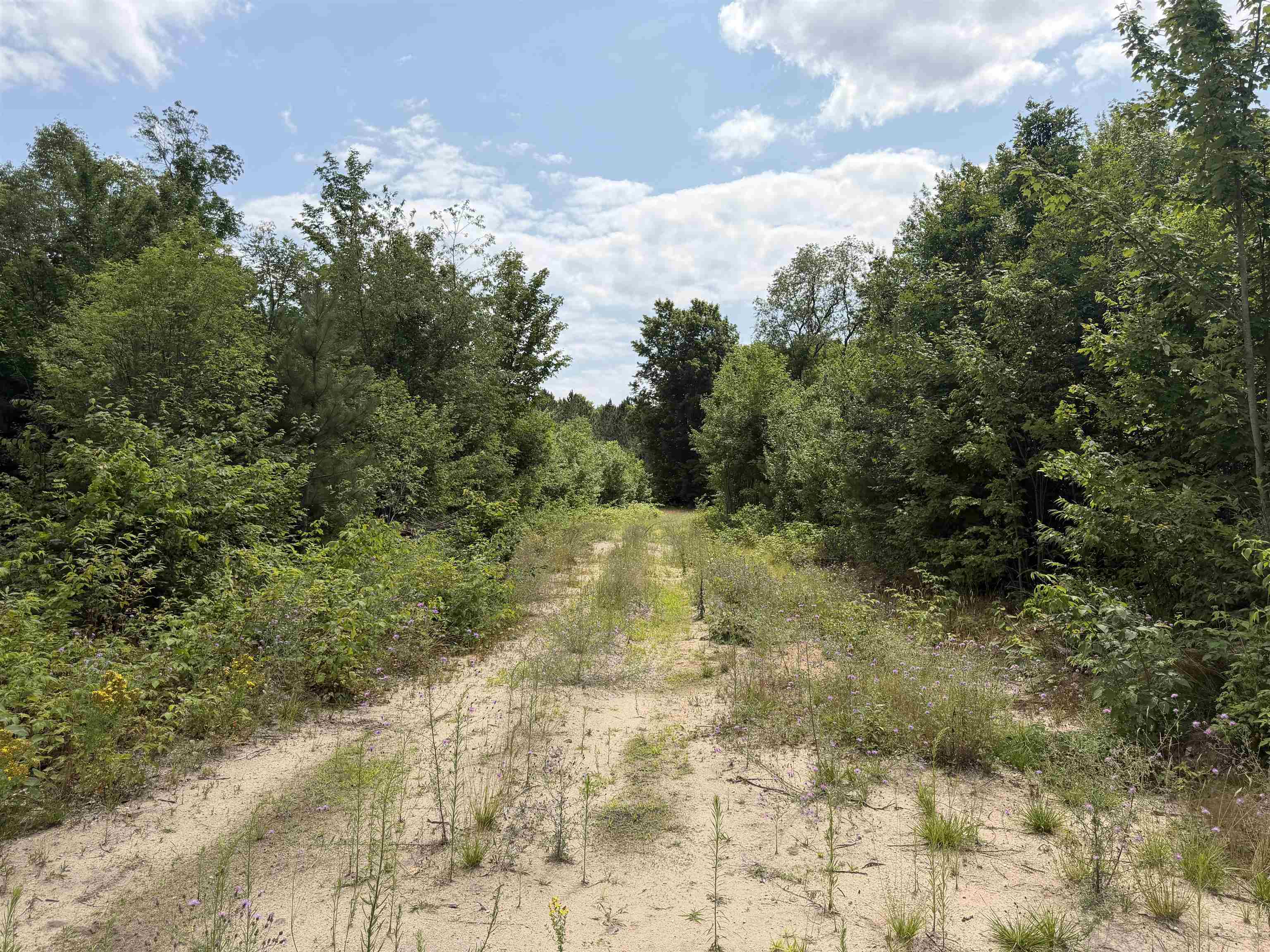 5th image of 13544 Aylsworth Rd, Beulah, MI 49617 | MLS# 80065940