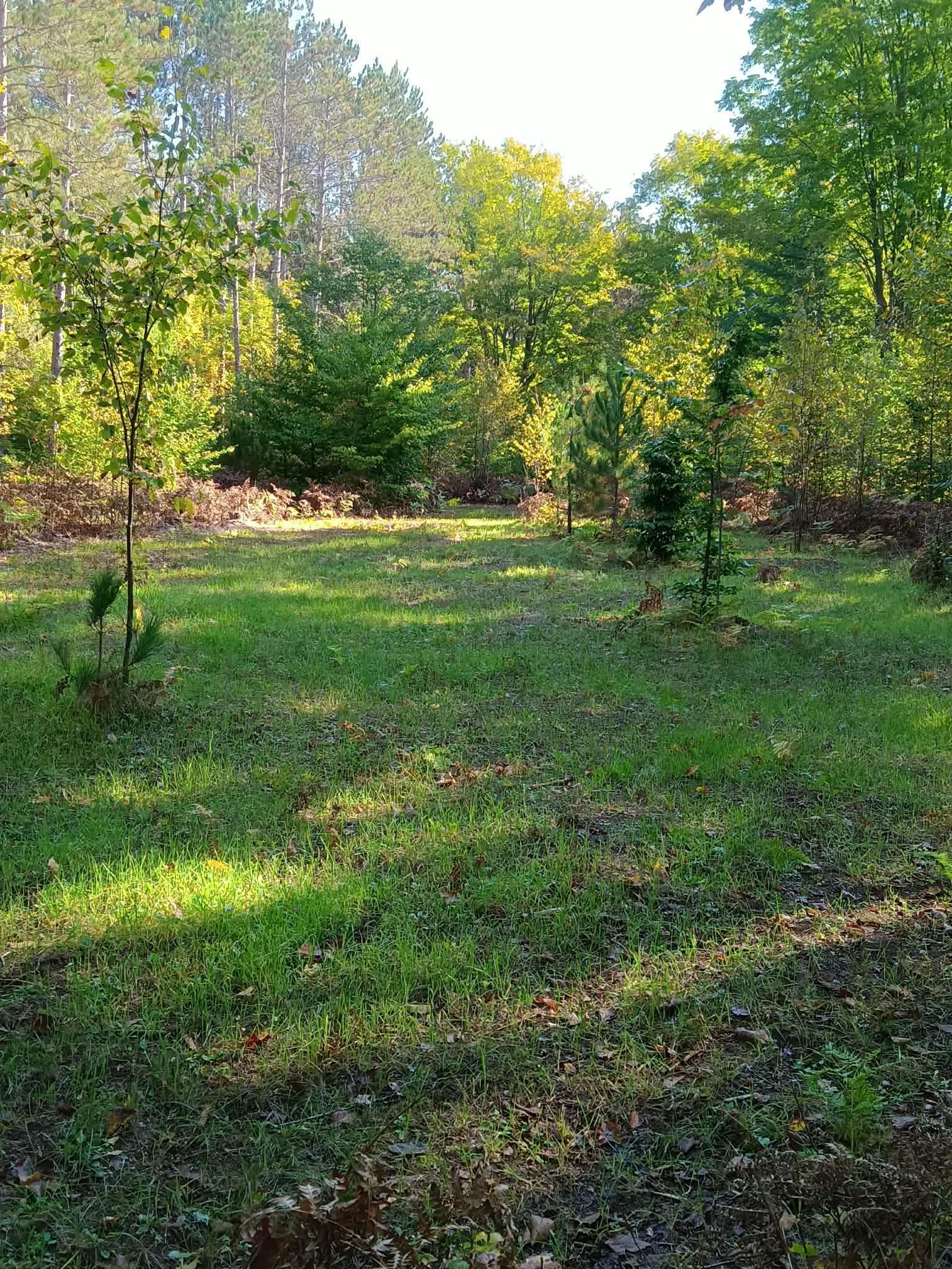 13544 Aylsworth Road, Beulah, MI, 49617