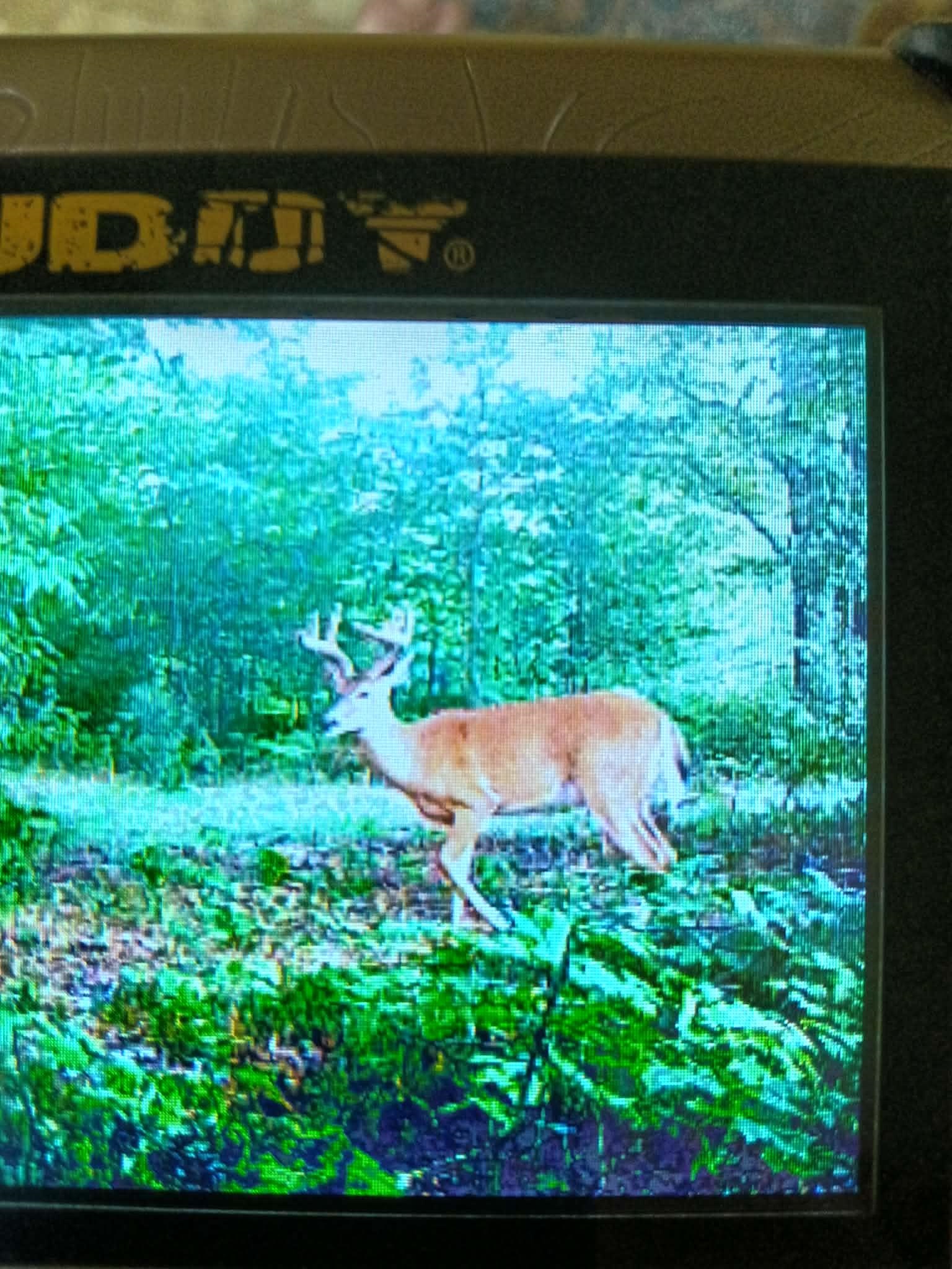 13544 Aylsworth Road, Beulah, MI, 49617