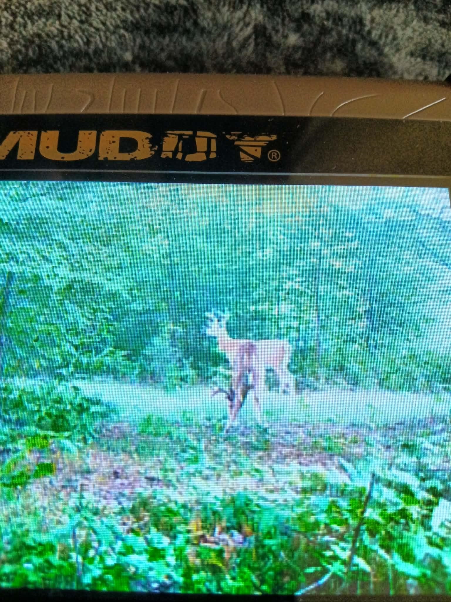 13544 Aylsworth Road, Beulah, MI, 49617