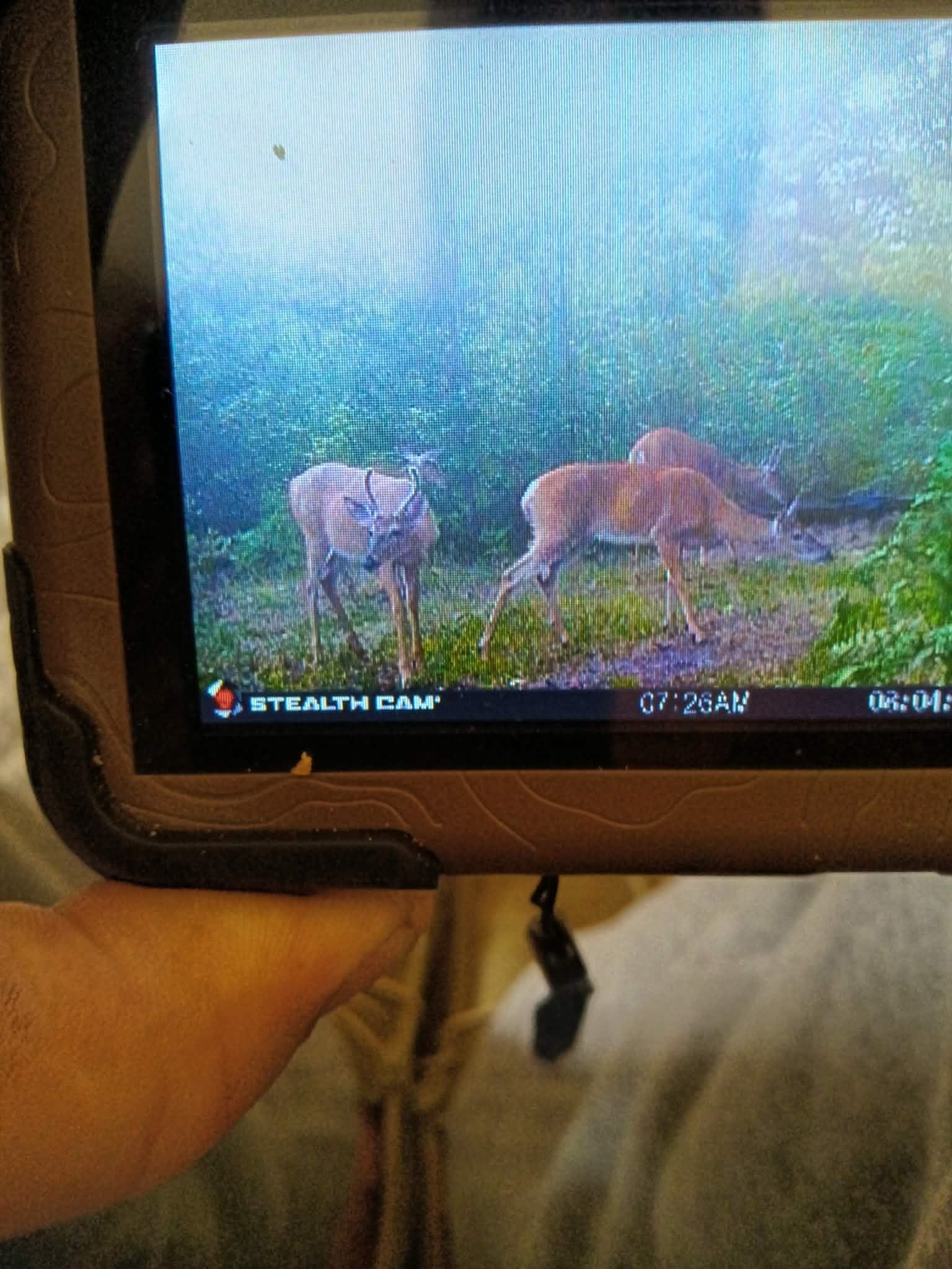 13544 Aylsworth Road, Beulah, MI, 49617