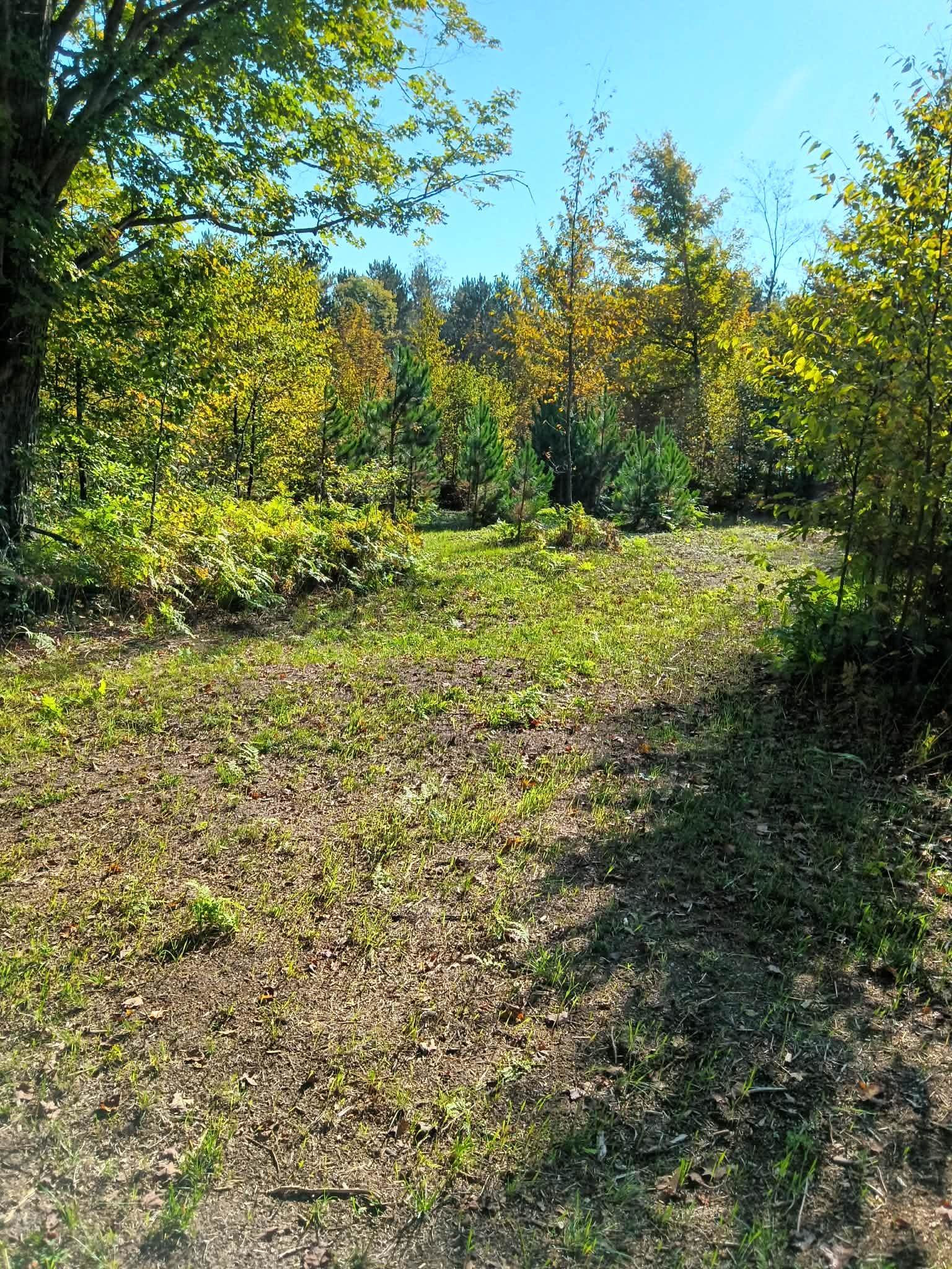 13544 Aylsworth Road, Beulah, MI, 49617