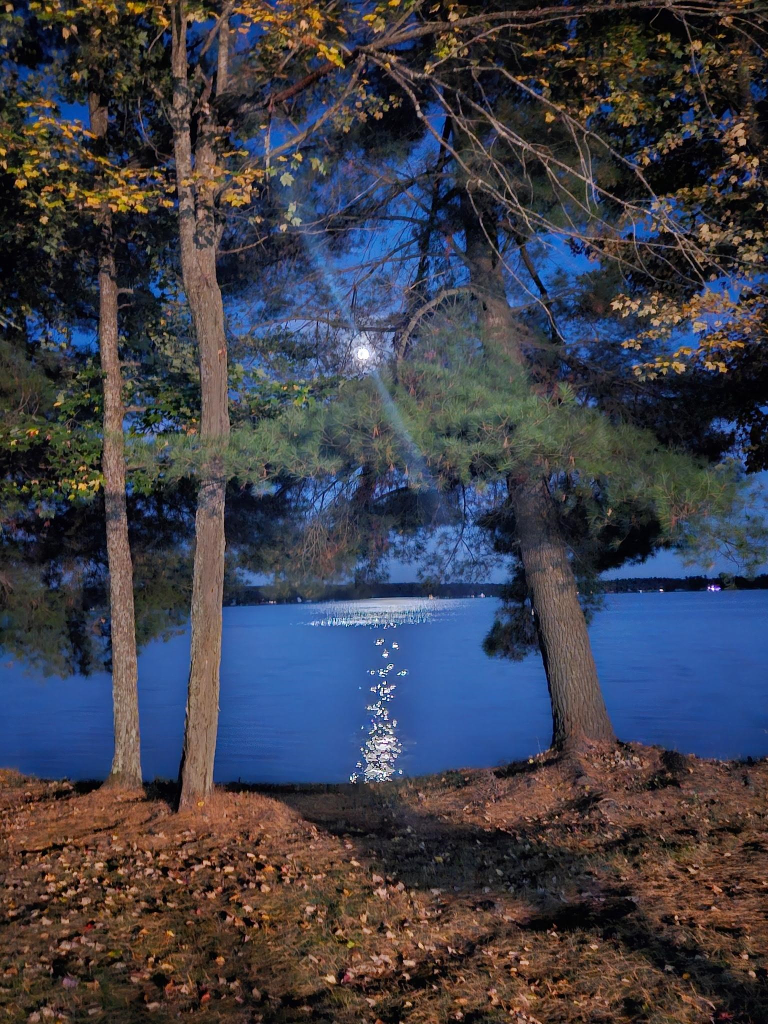 4896 NE Hidden Harbor Drive, Kalkaska, MI, 49646