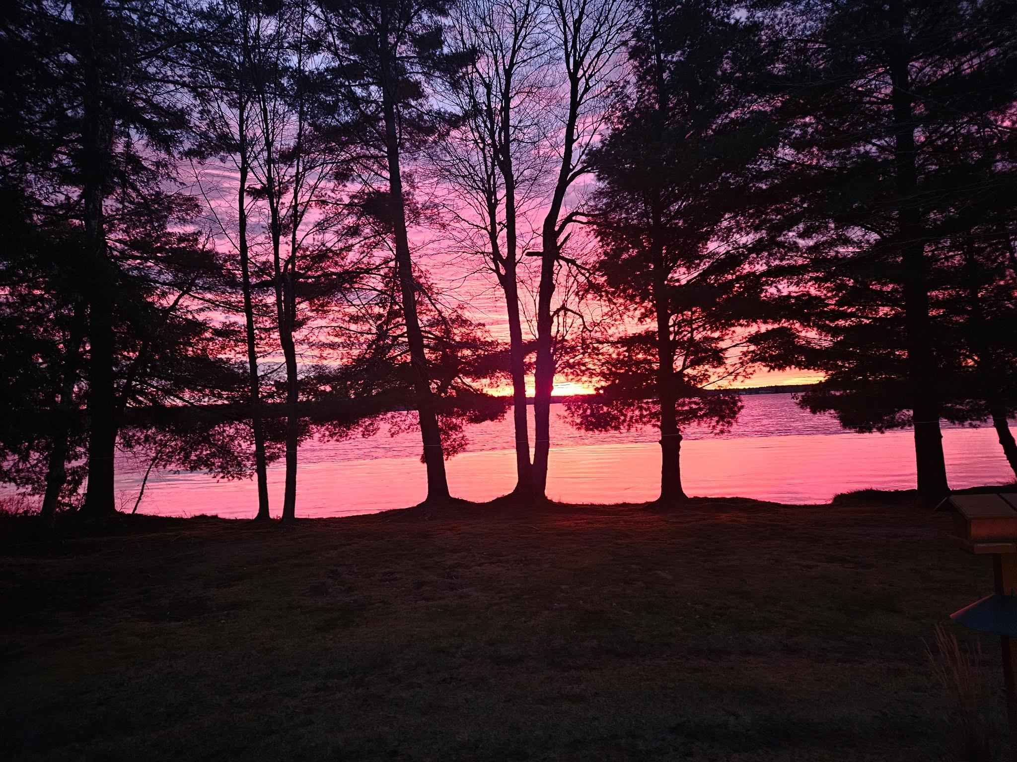 4896 NE Hidden Harbor Drive, Kalkaska, MI, 49646