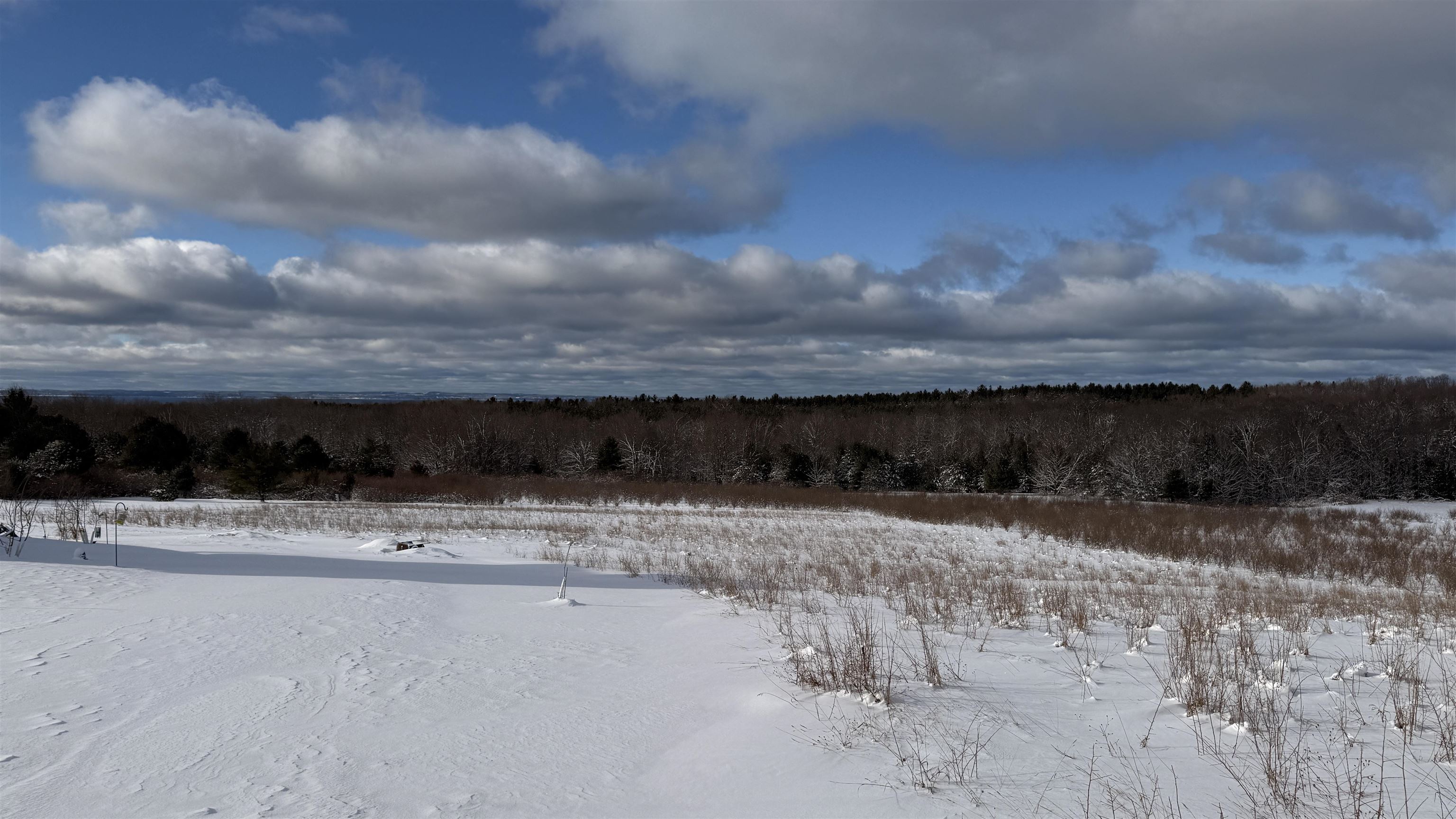 TBD Farrell Road photo 7