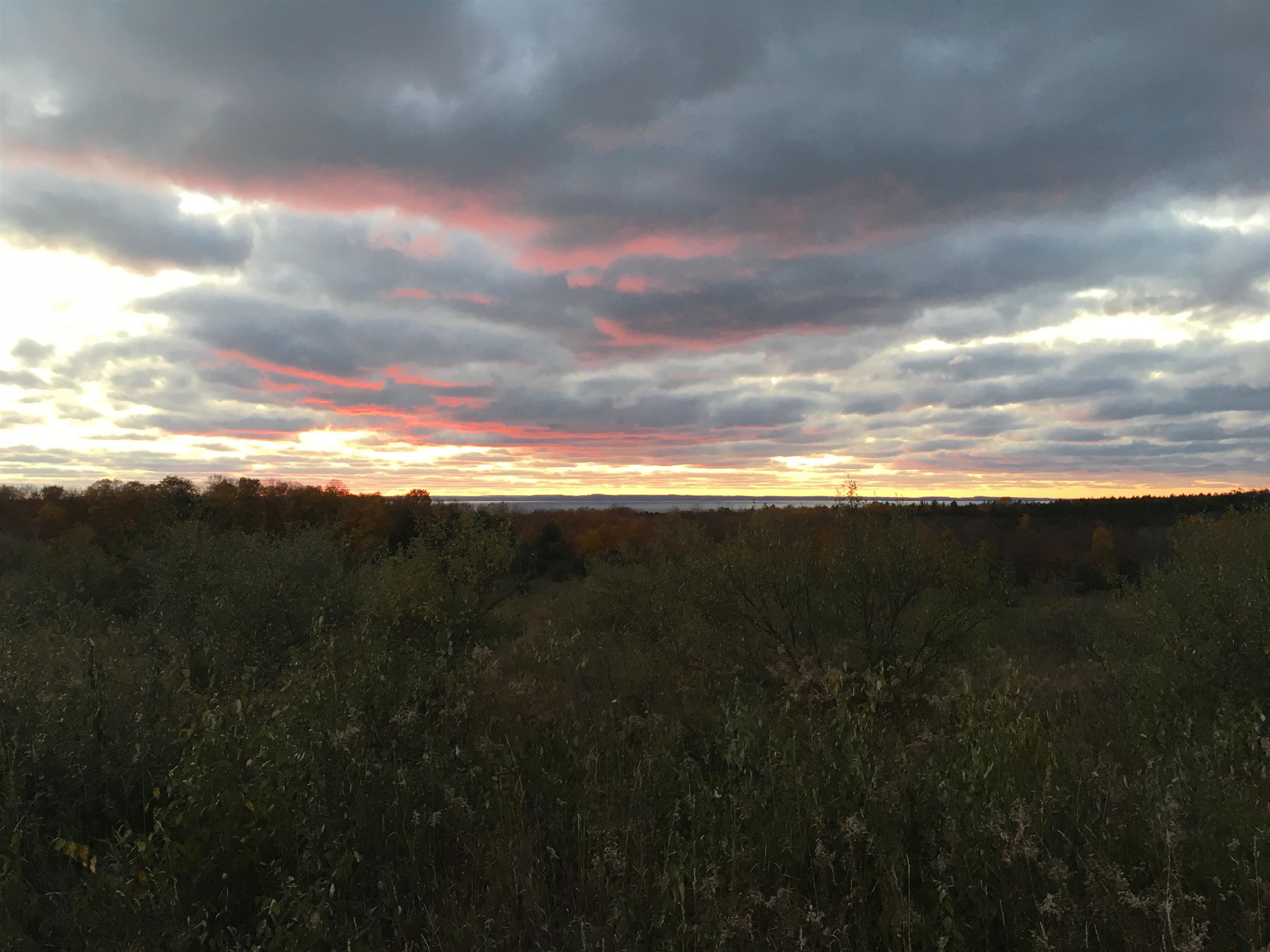 TBD Farrell Road, Central Lake, MI, 49622
