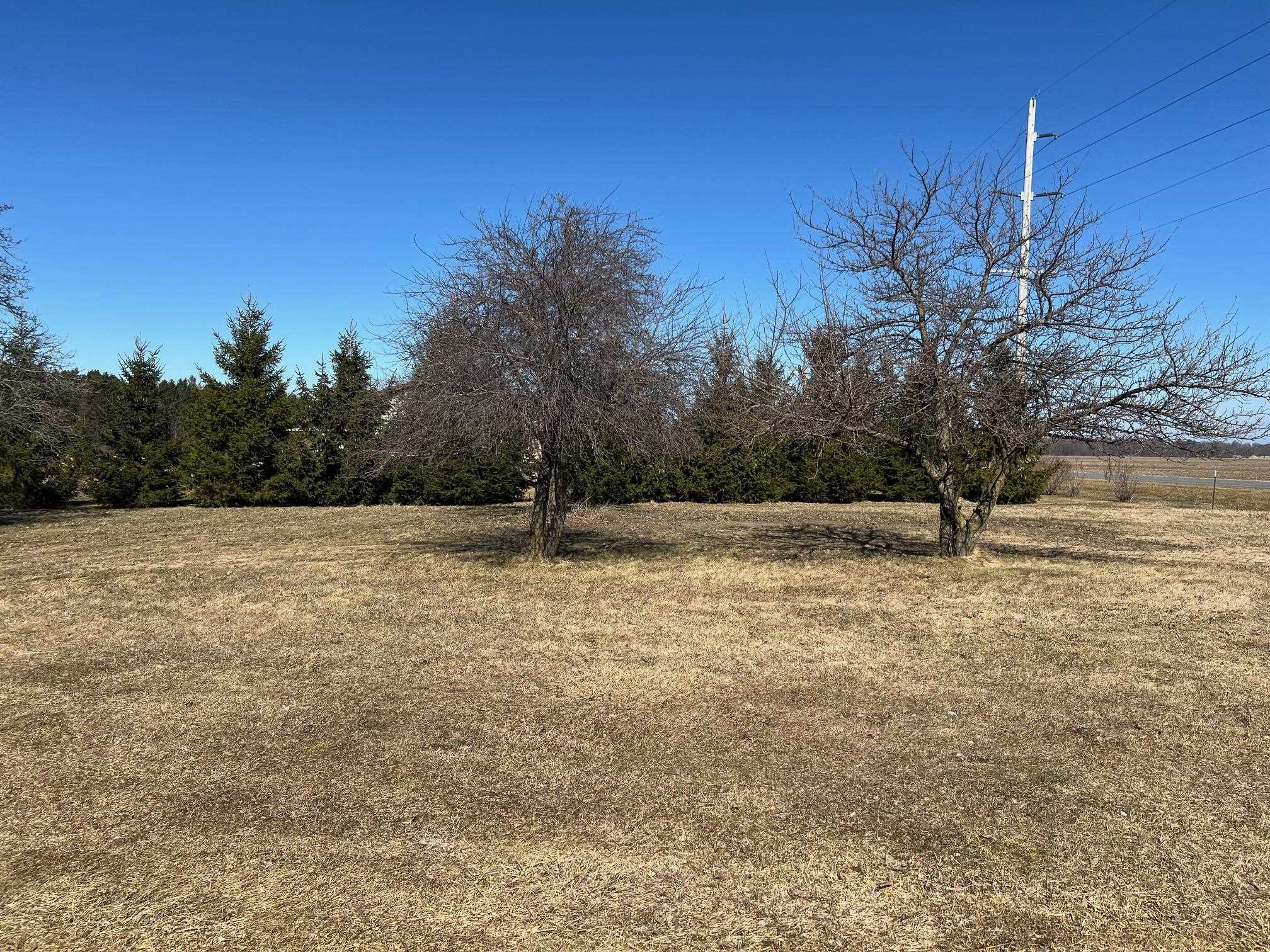 10613 N Bagley Road, Saint Louis, MI, 48880