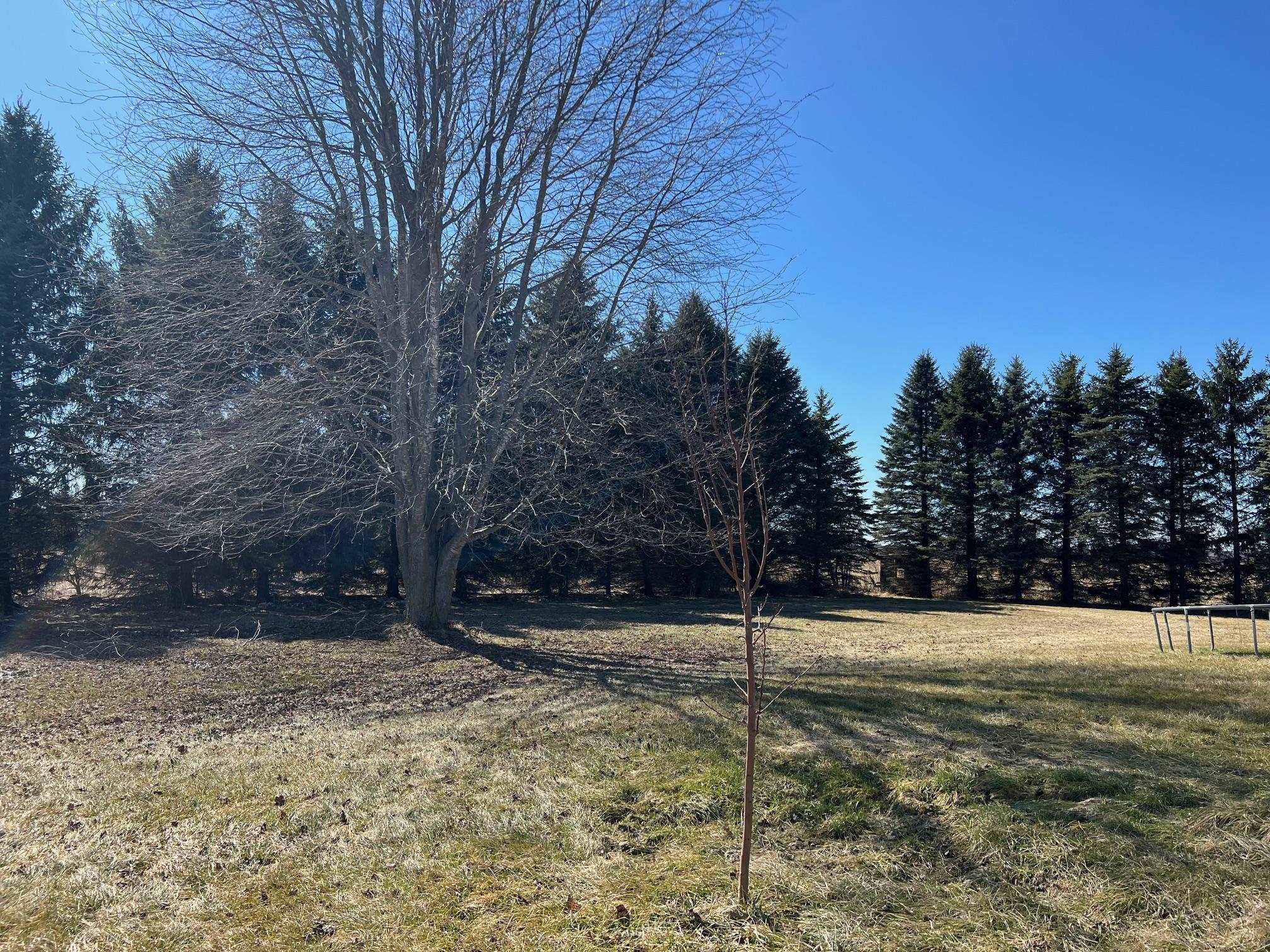 10613 N Bagley Road, Saint Louis, MI, 48880