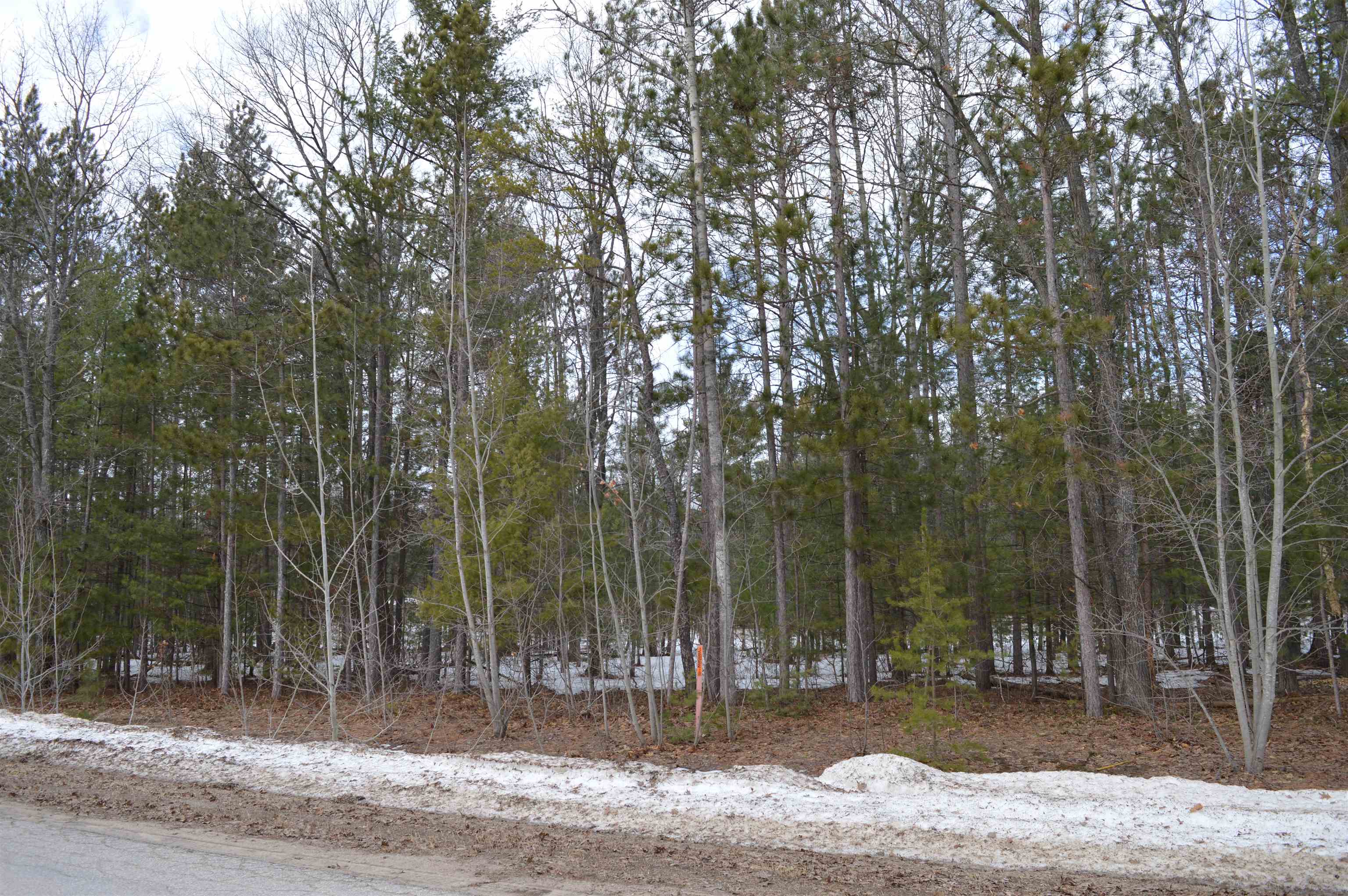 1983 Bunker Drive photo 3