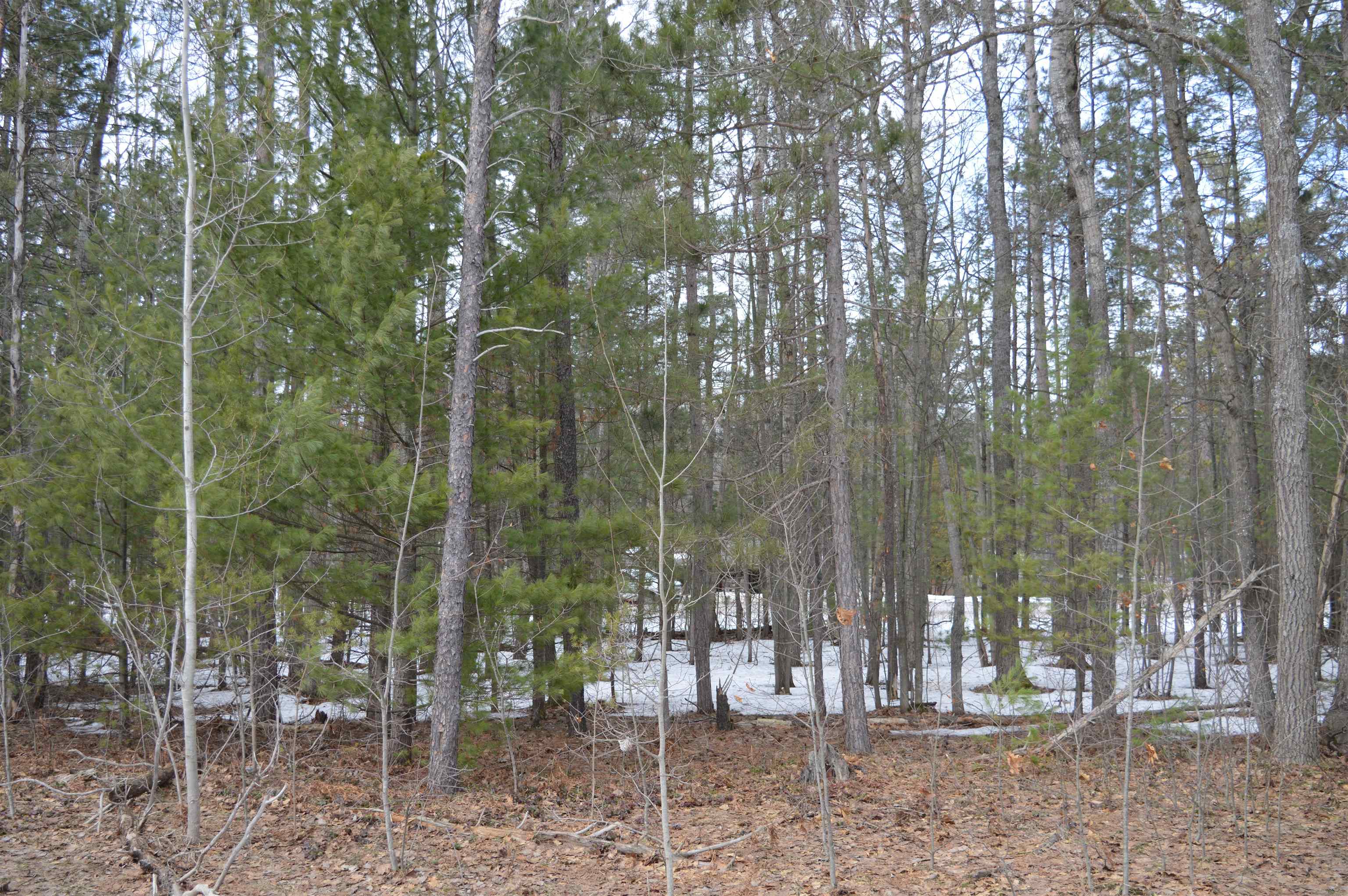 1971 Bunker Drive photo 2