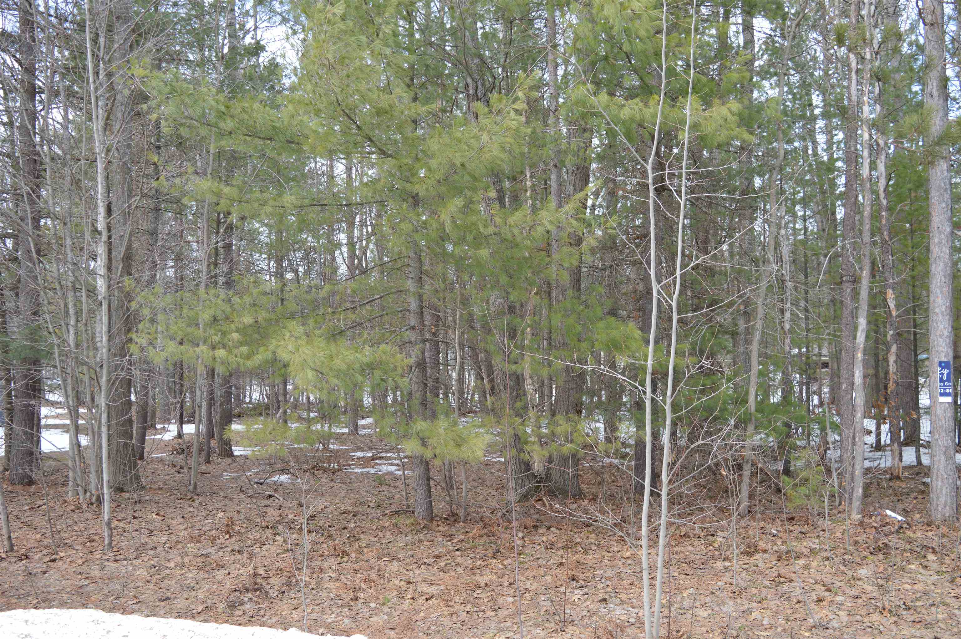 1971 Bunker Drive photo 11