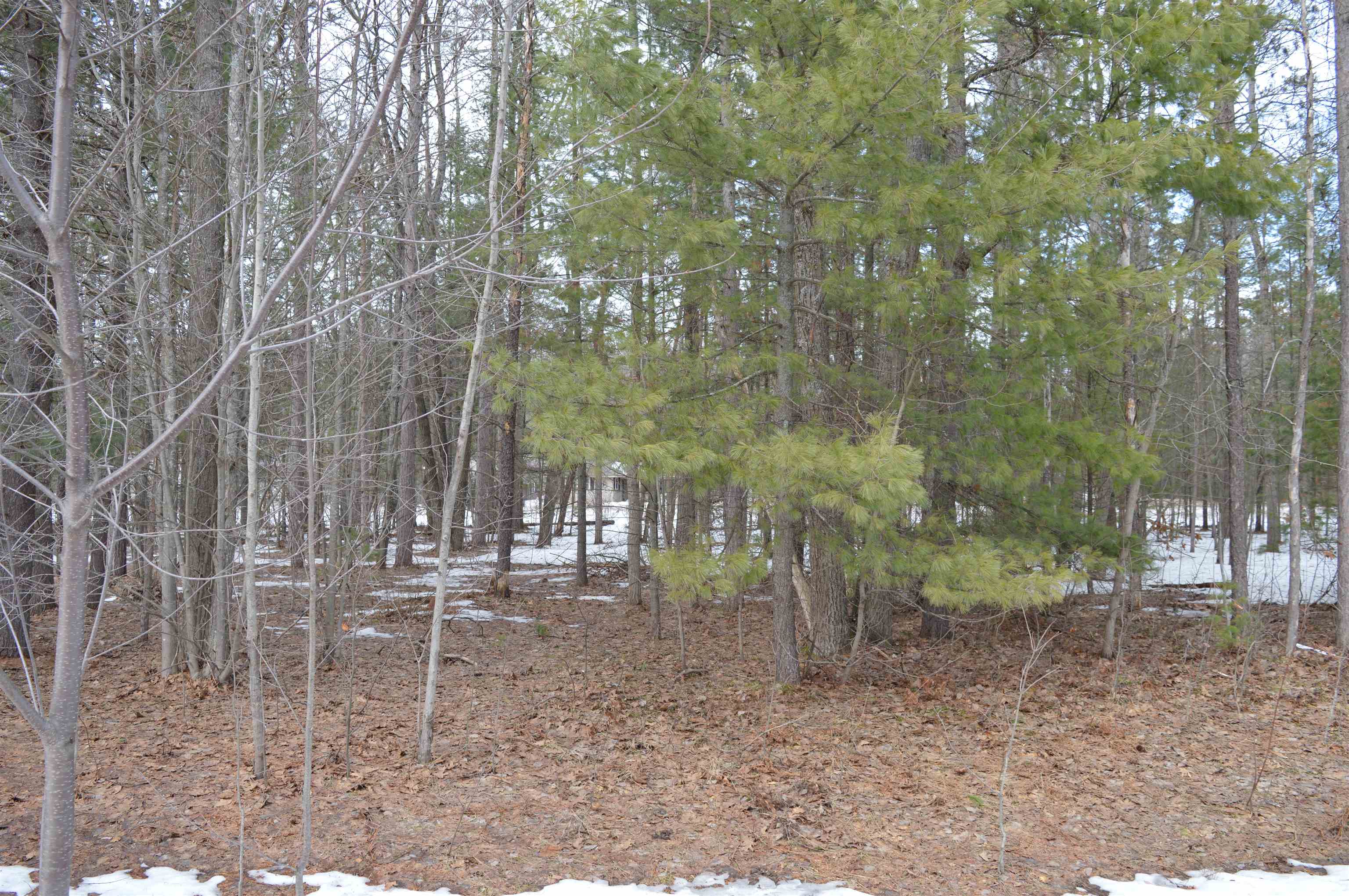1971 Bunker Drive photo 12