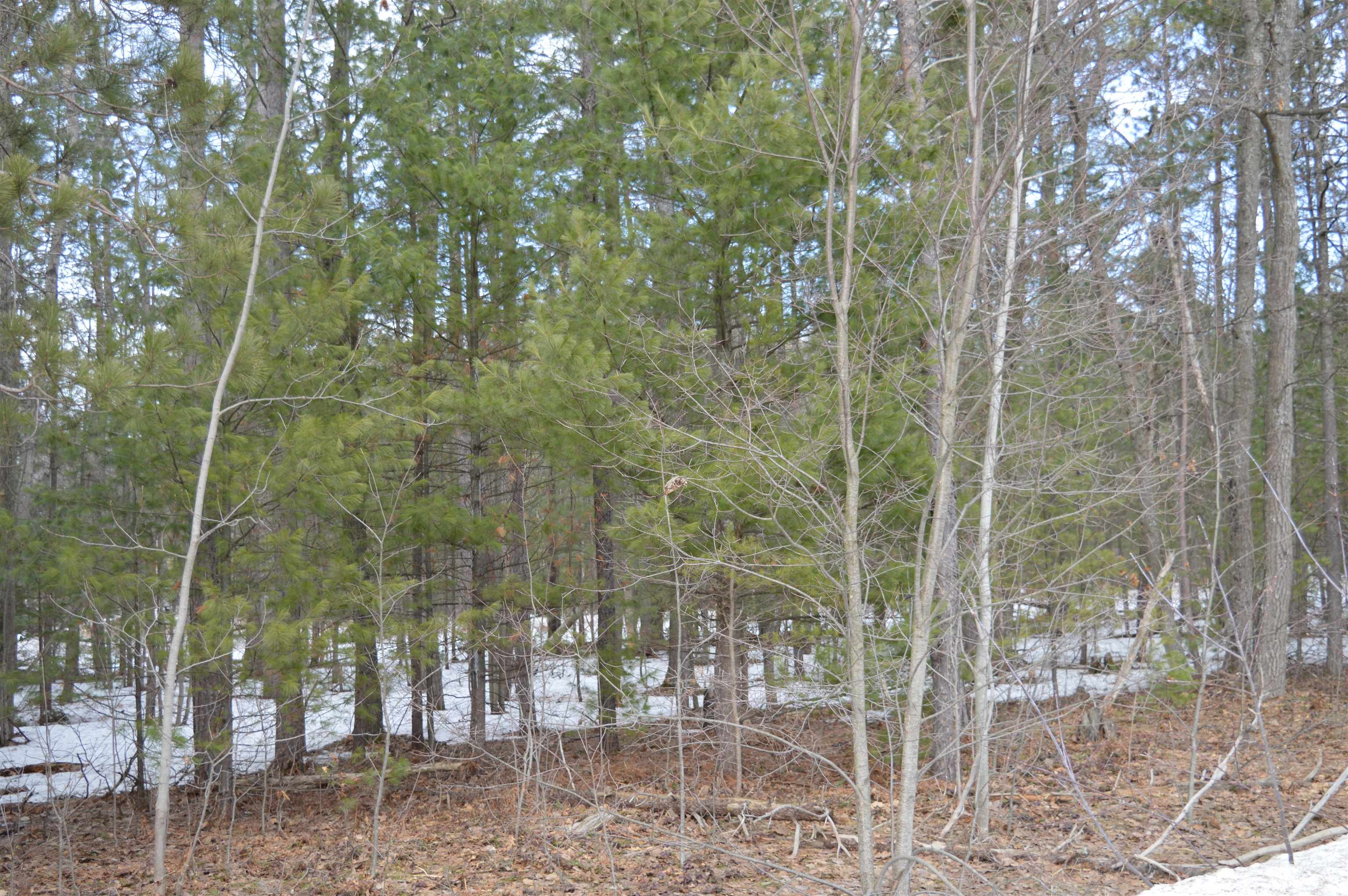 1971 Bunker Drive photo 15