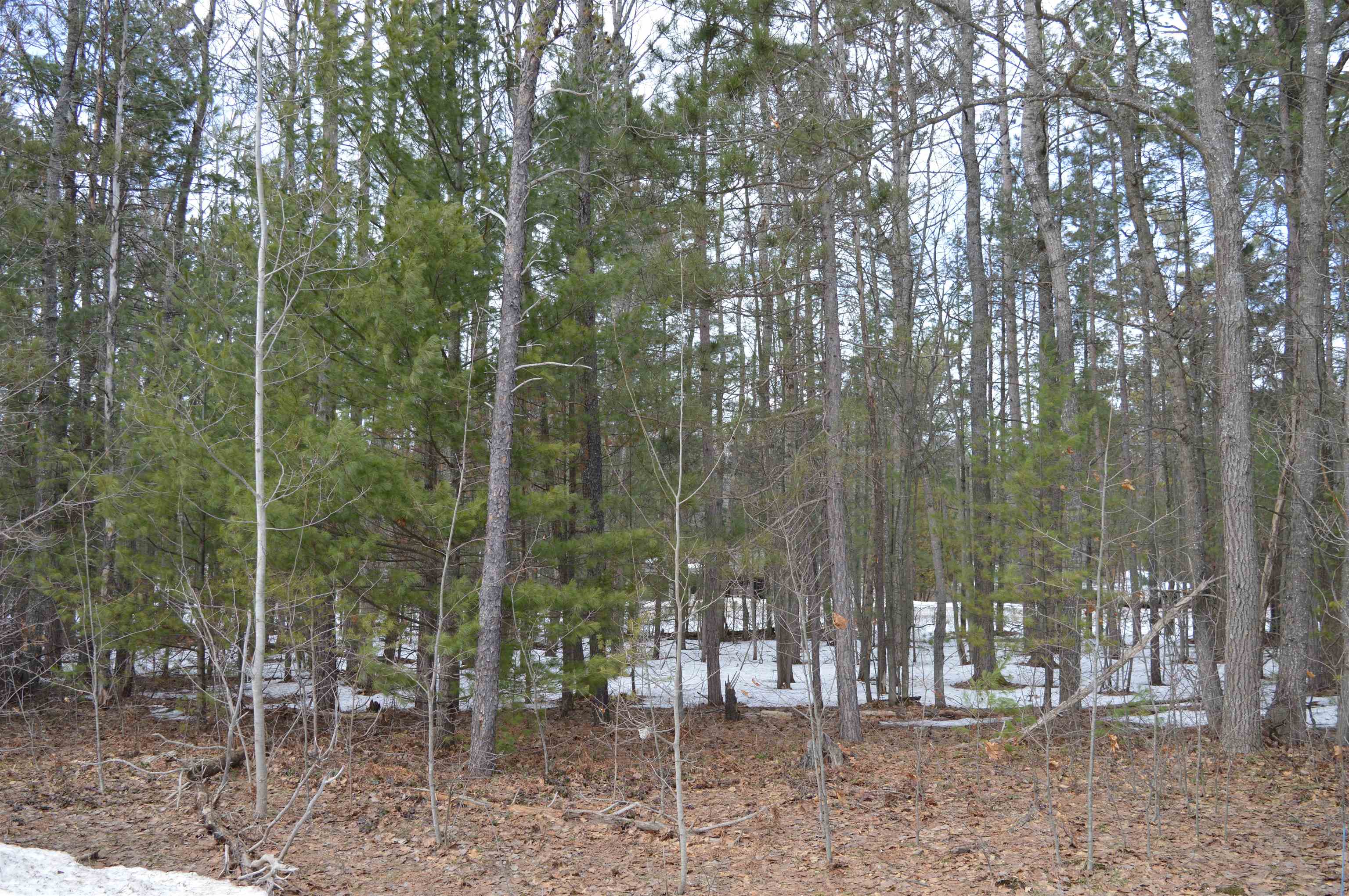 1971 Bunker Drive photo 3
