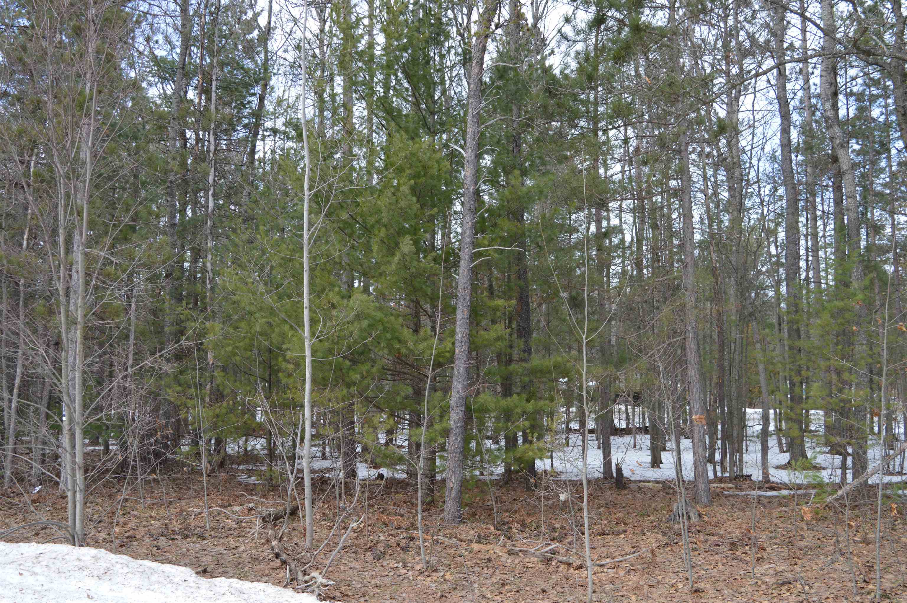 1971 Bunker Drive photo 4