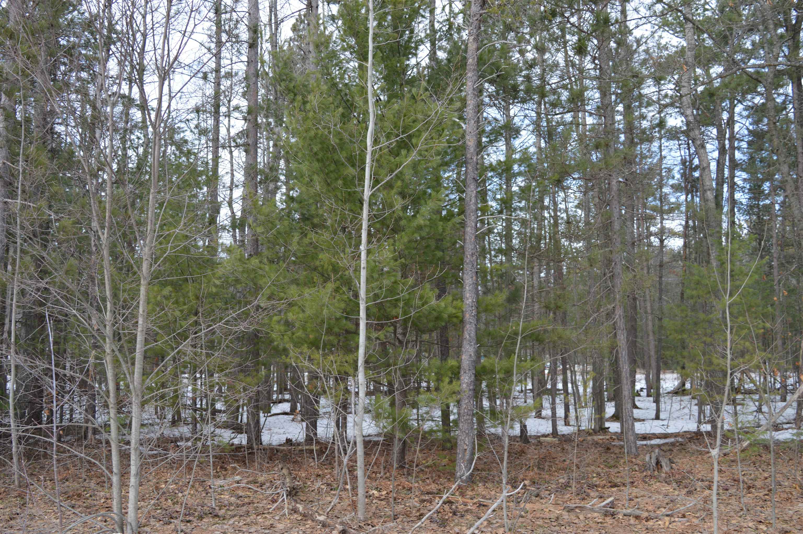 1971 Bunker Drive photo 6