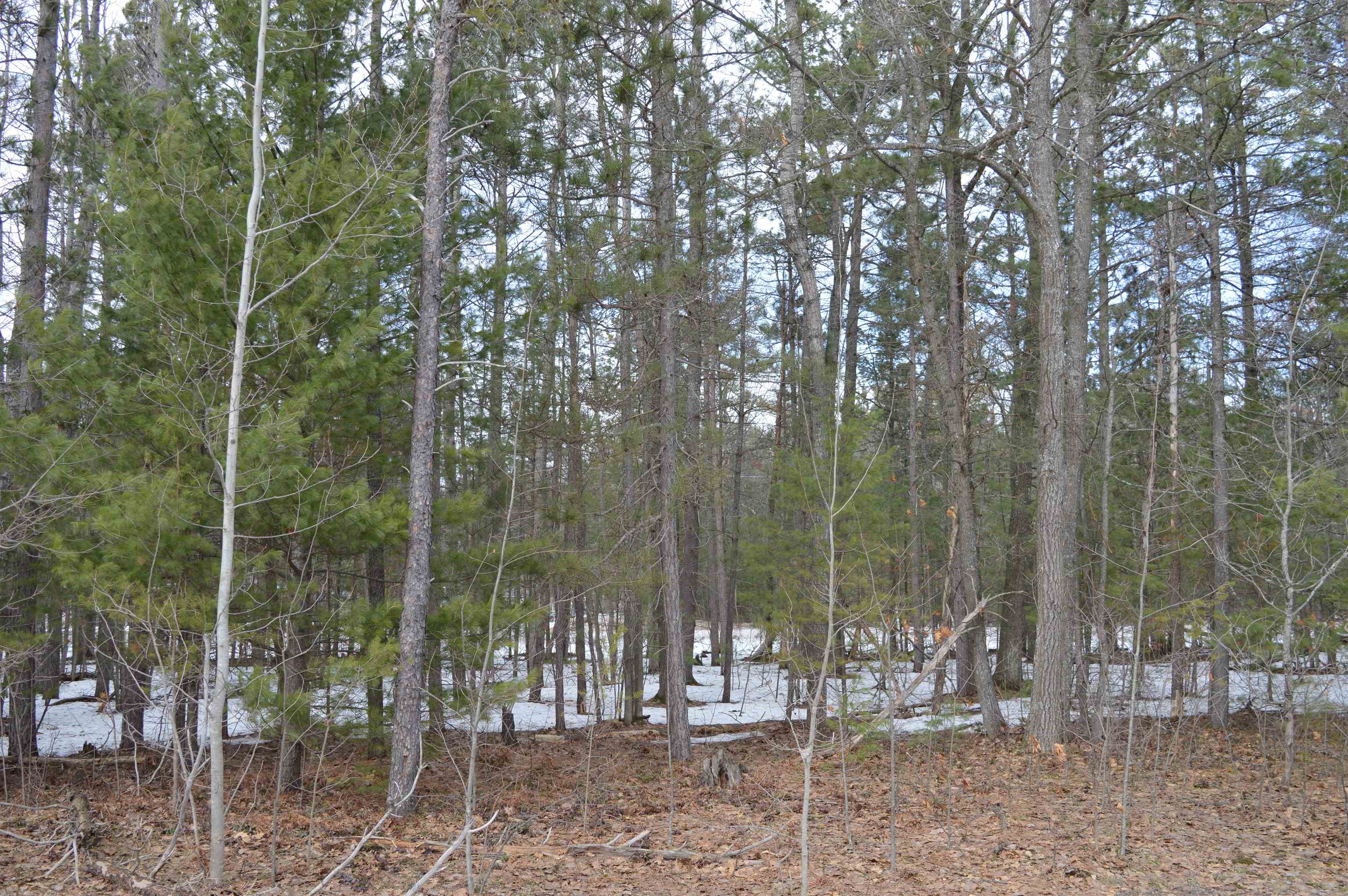 1971 Bunker Drive photo 7