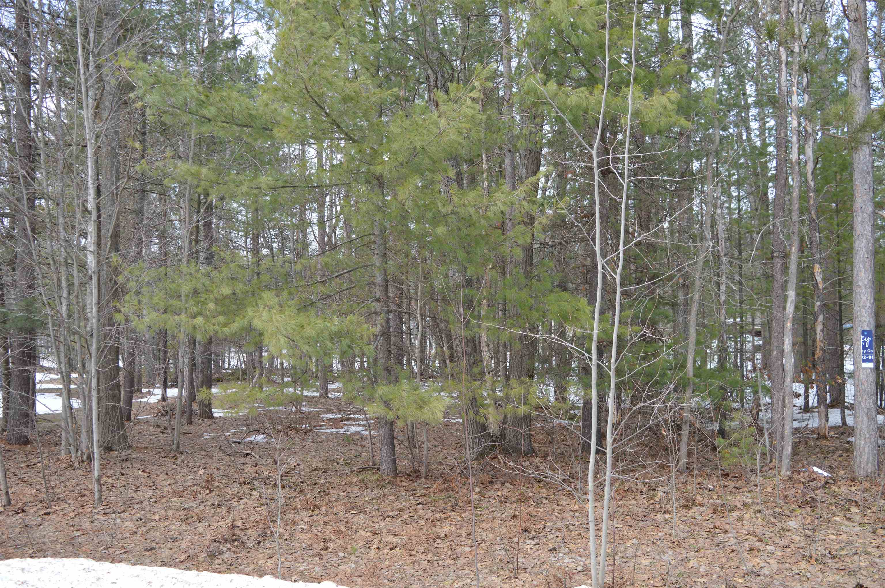 1971 Bunker Drive photo 9