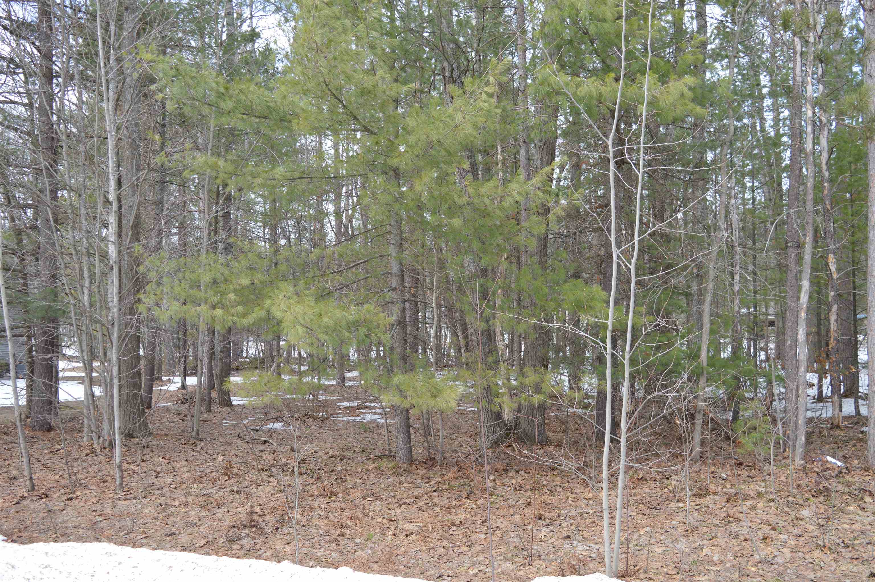 1971 Bunker Drive photo 10