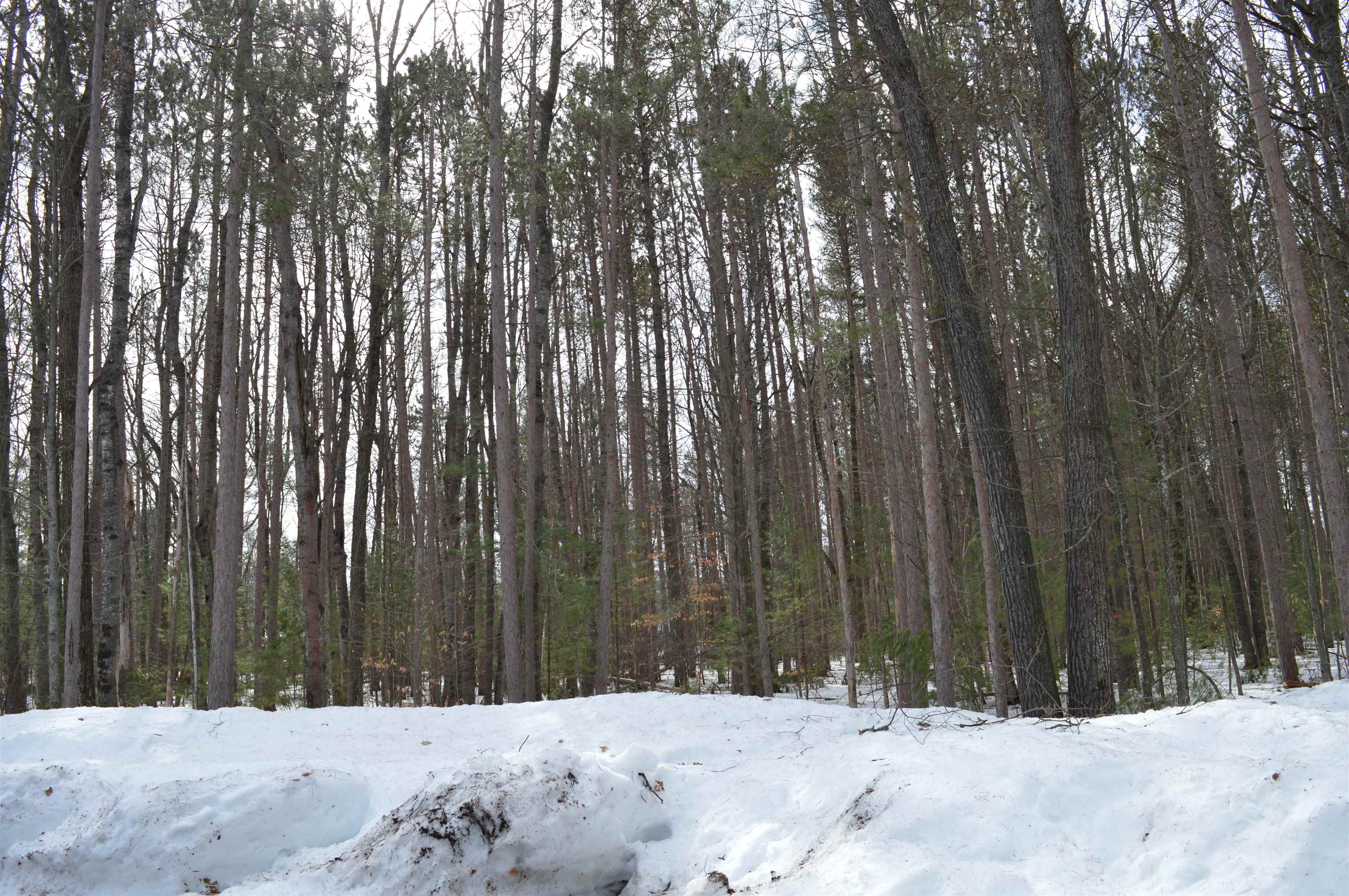 773 Golf Side Drive photo 2