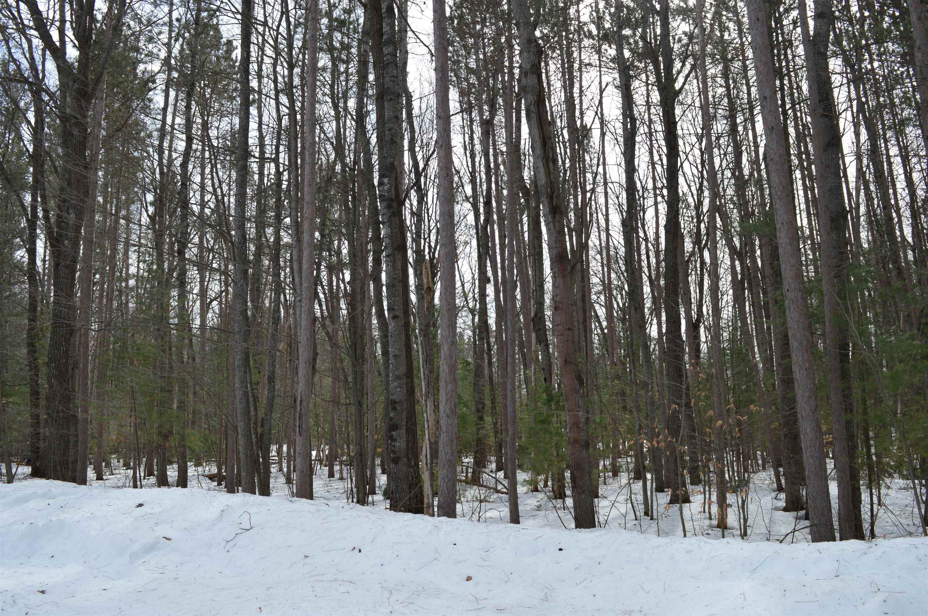 773 Golf Side Drive photo 15