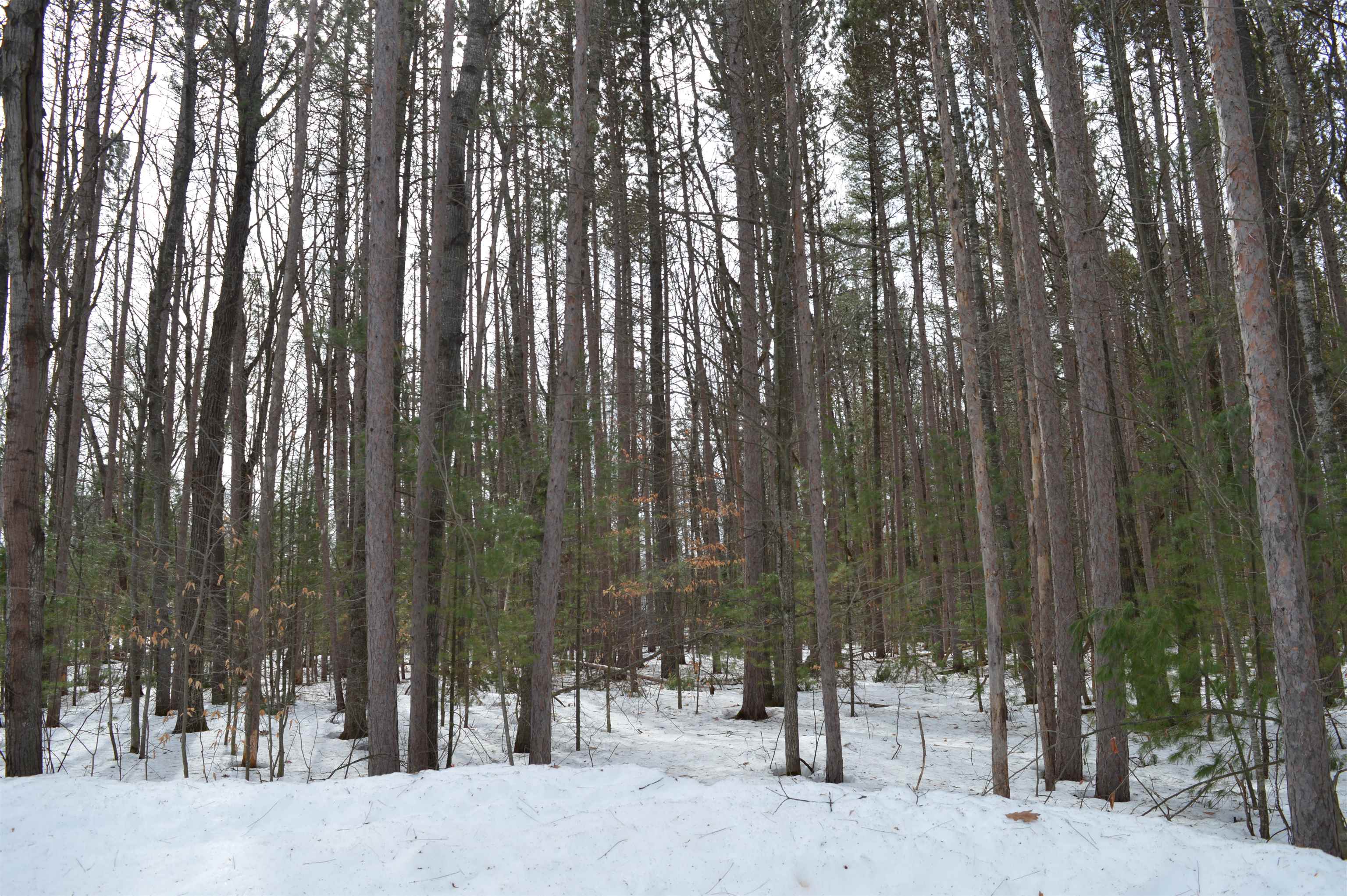 773 Golf Side Drive photo 17