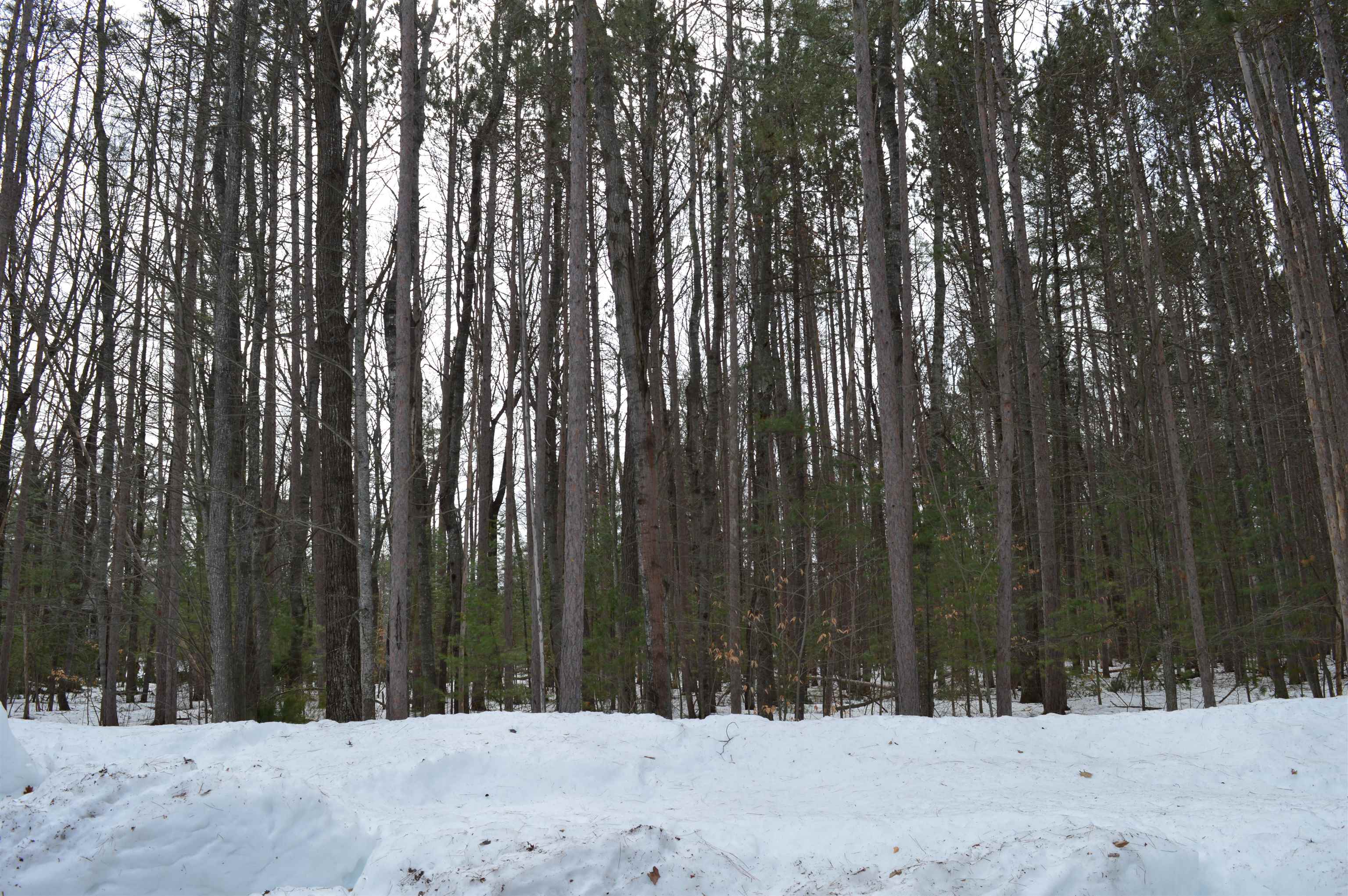 773 Golf Side Drive photo 4