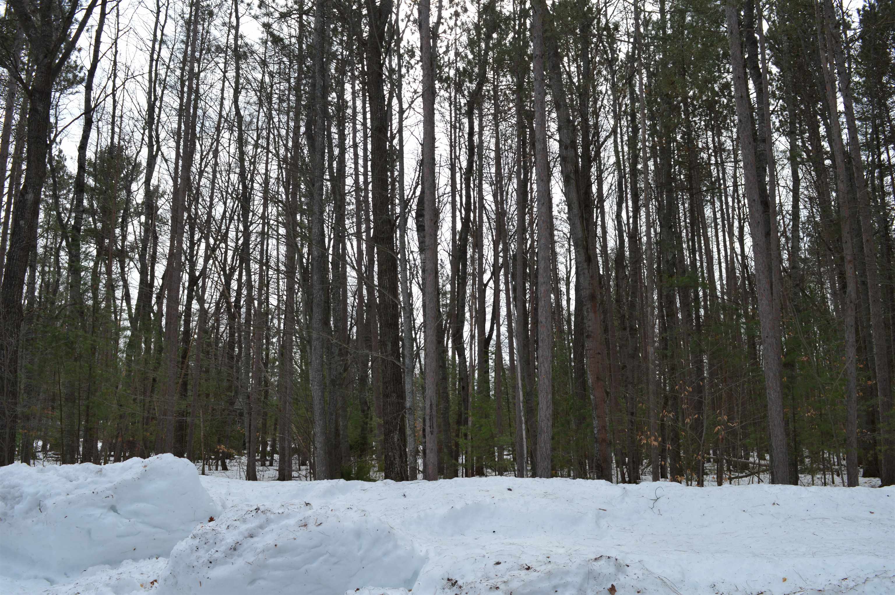773 Golf Side Drive photo 5