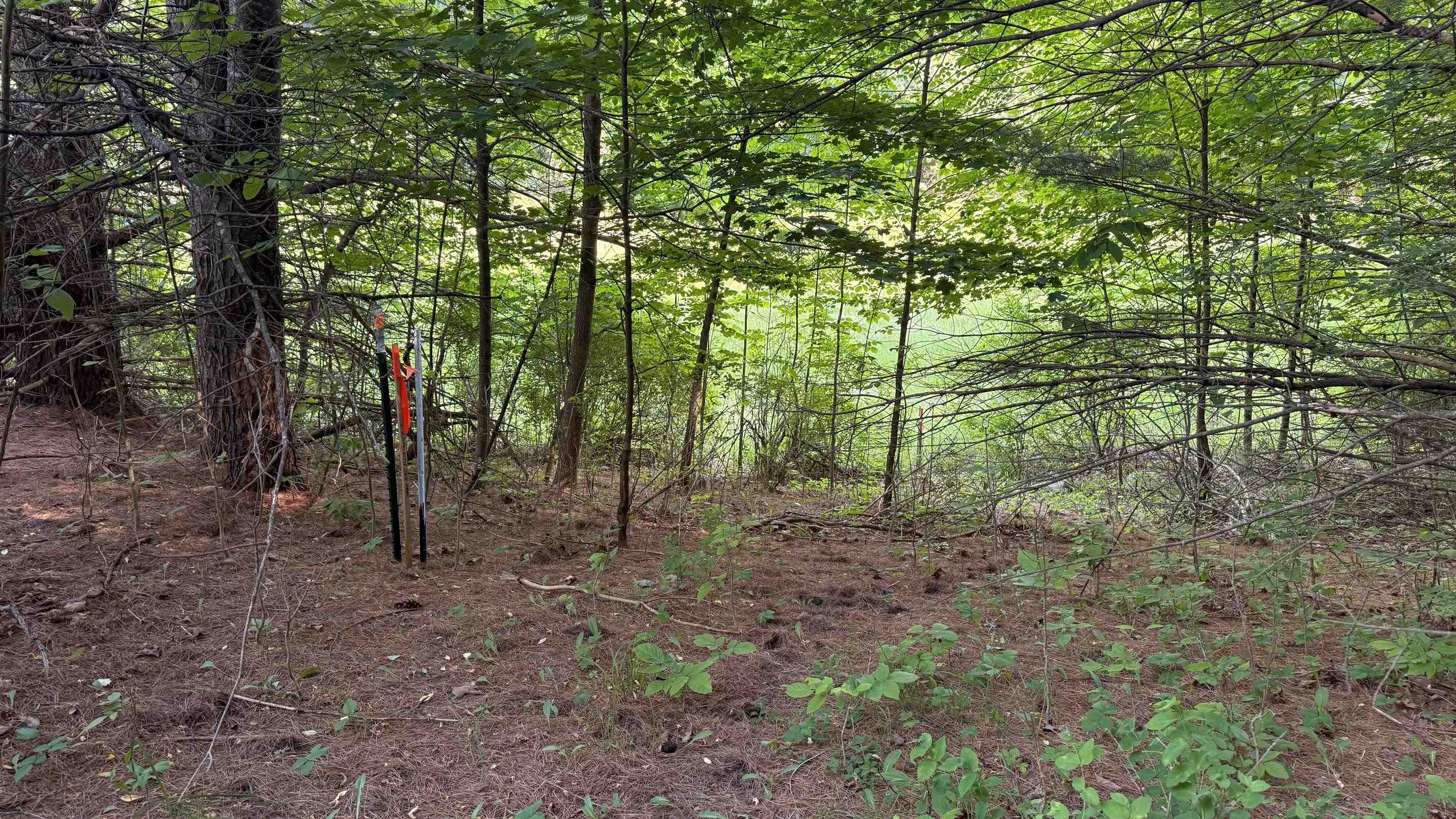 1st image of Tbd Rushton Rd, Ellsworth, MI 49729 | MLS# 78080065974