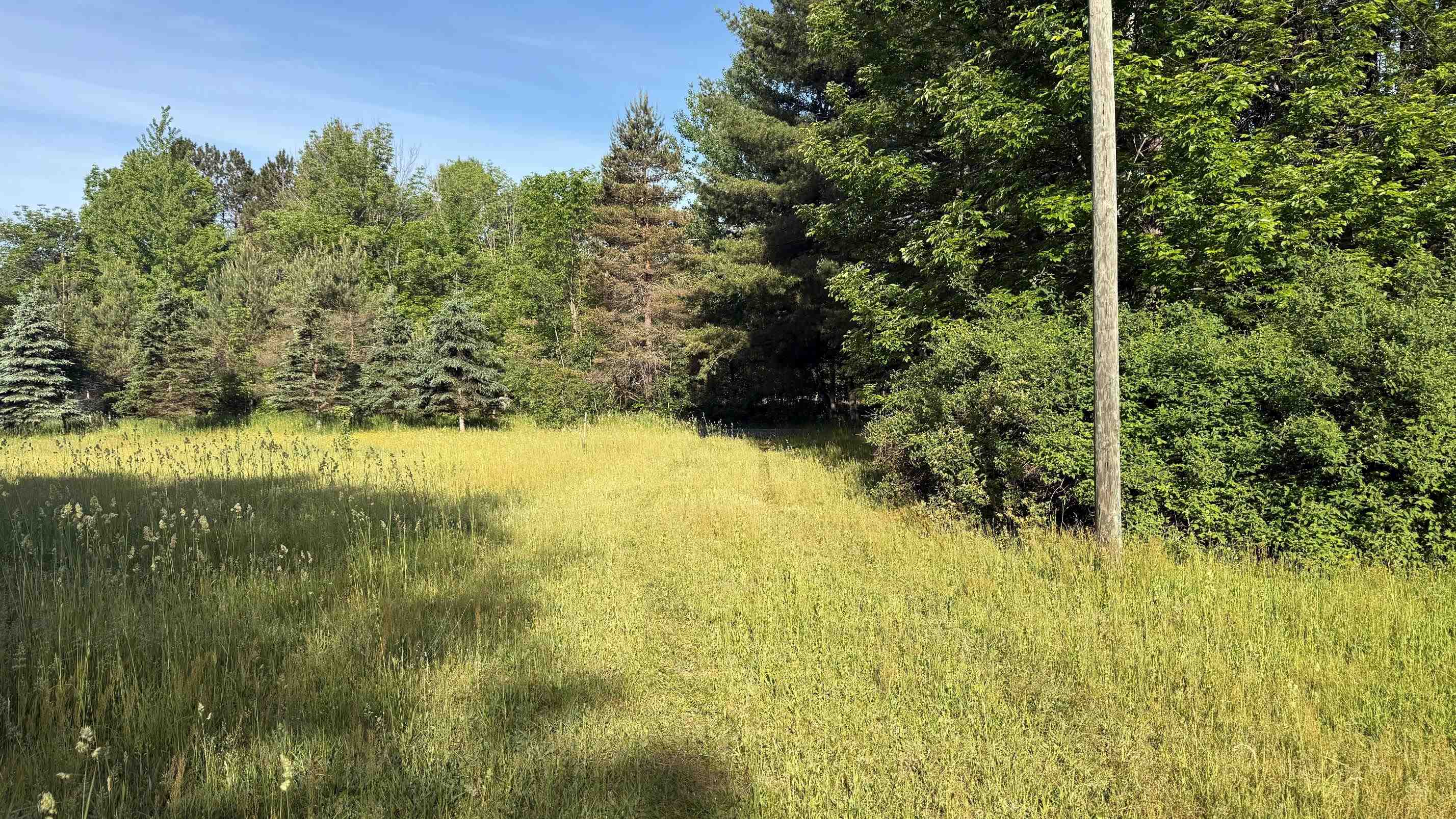 16th image of Tbd Rushton Rd, Ellsworth, MI 49729 | MLS# 78080065974
