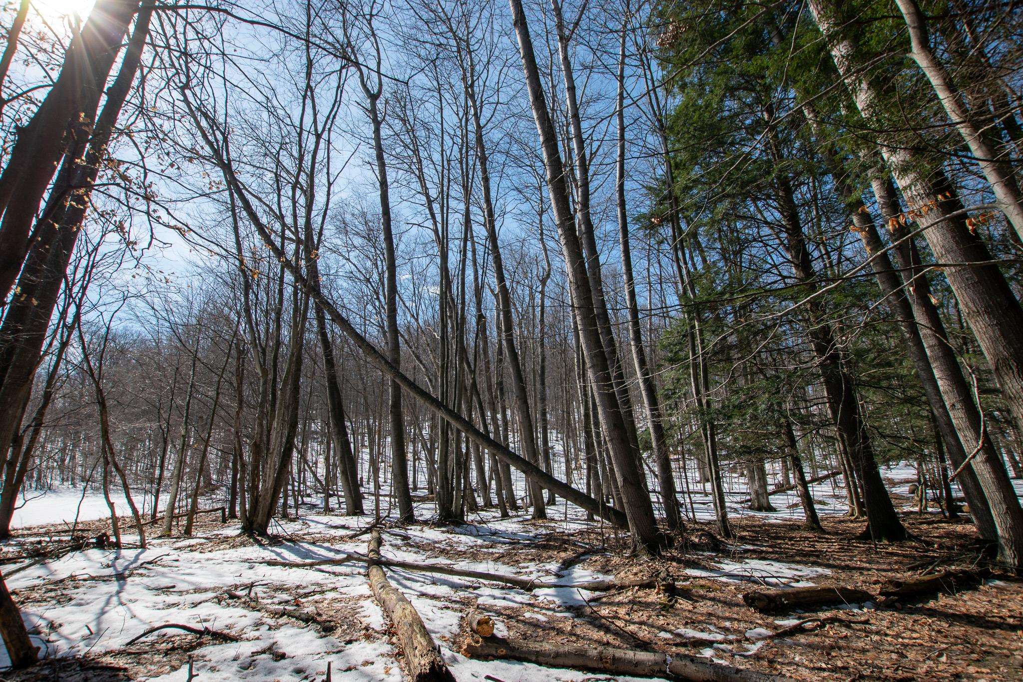 2171 N Belanger Creek Drive, Suttons Bay, MI, 49682