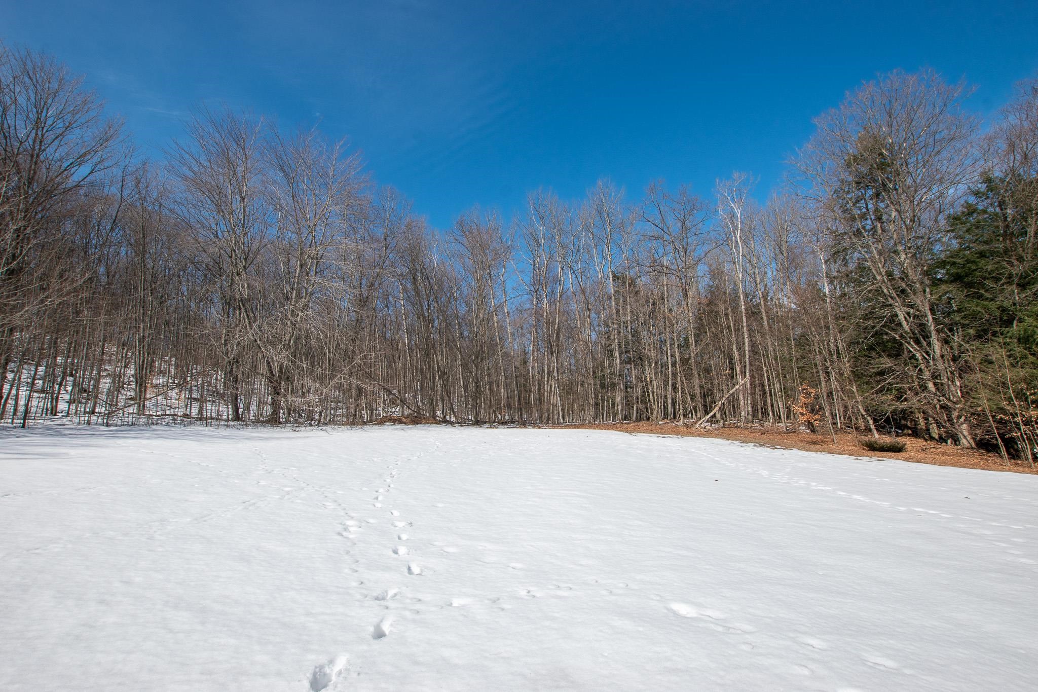 2171 N Belanger Creek Drive, Suttons Bay, MI, 49682