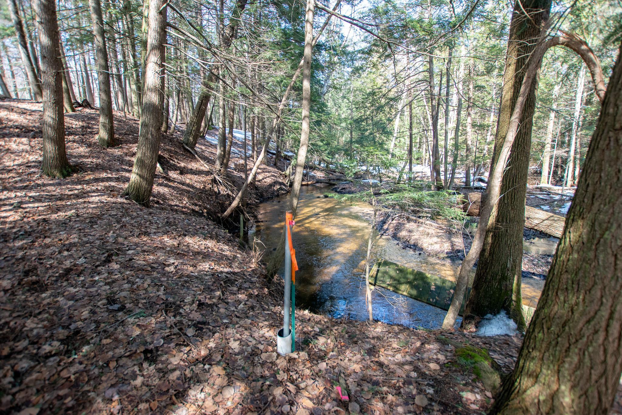 2171 N Belanger Creek Drive, Suttons Bay, MI, 49682