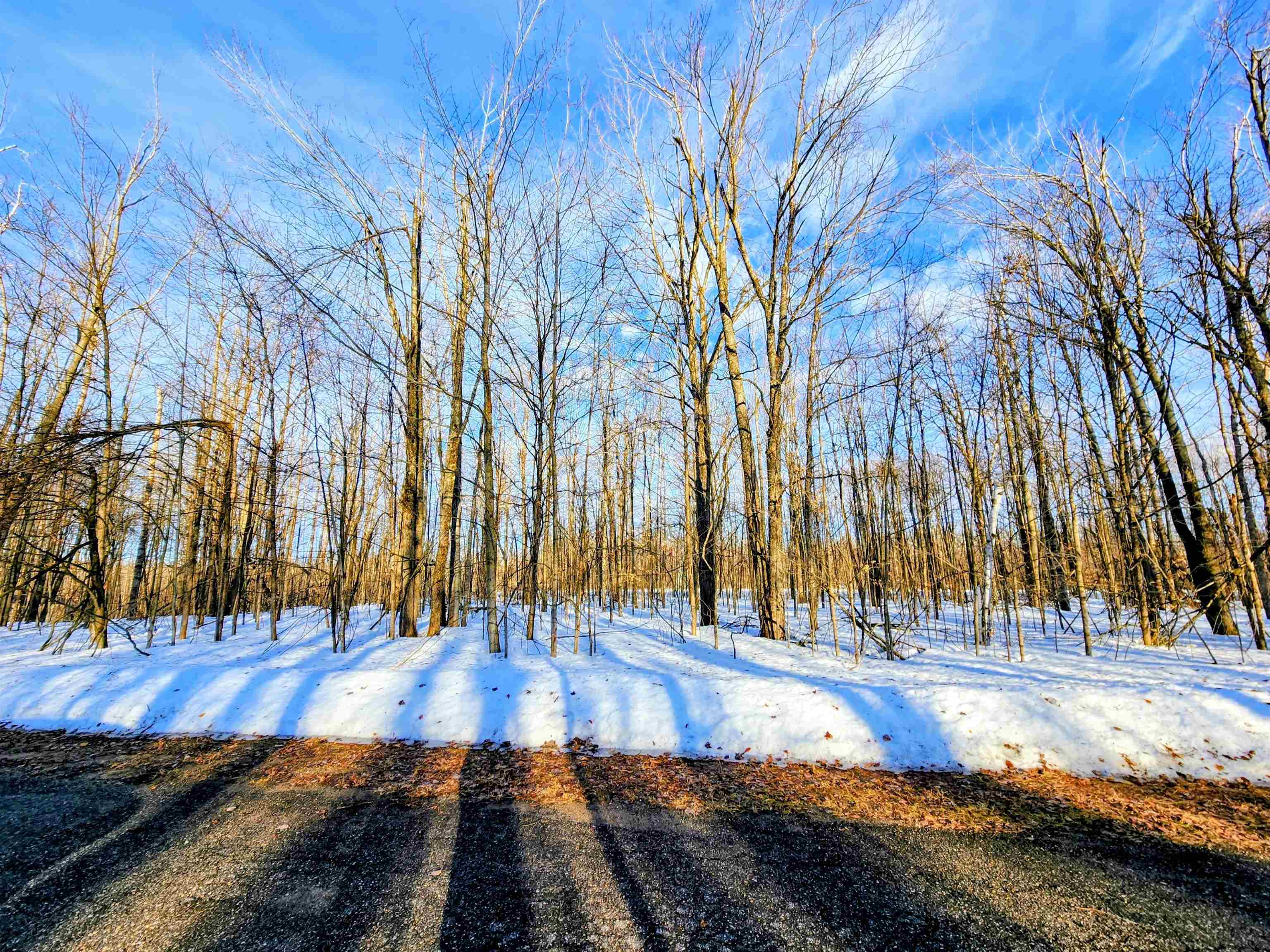 Photo of property for sale at Lot 45 Terreton Circle, Elmira MI 49730
