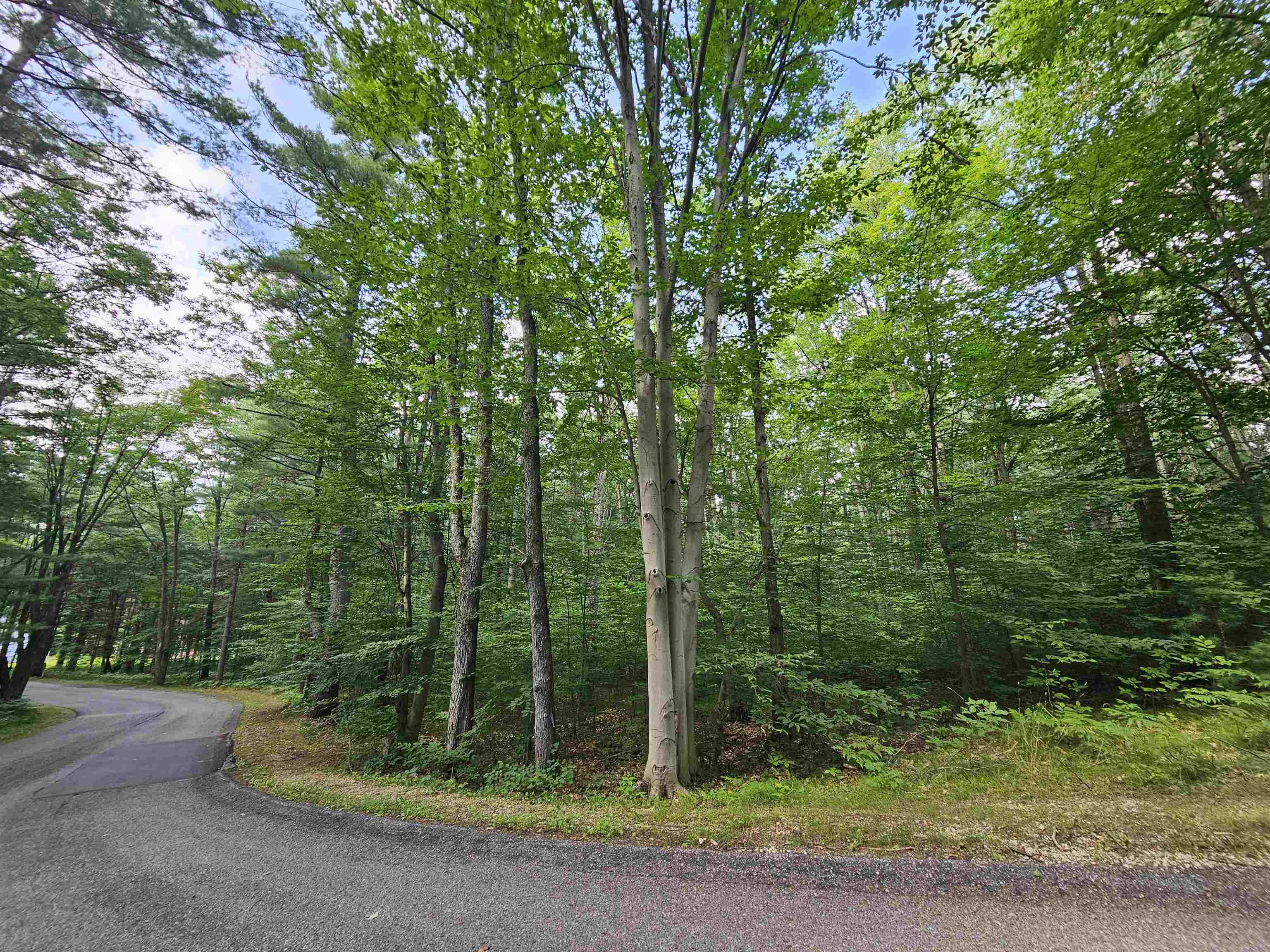 1st image of Lot 45 Woodwind Dr, Cadillac, MI 49601 | MLS# 78080065995