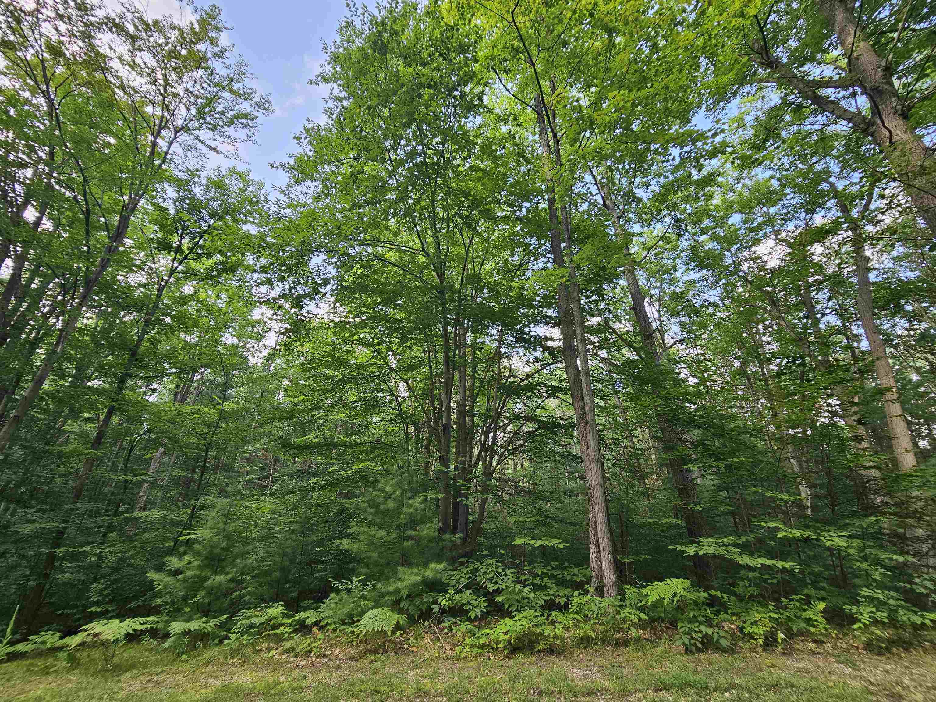 2nd image of Lot 45 Woodwind Dr, Cadillac, MI 49601 | MLS# 78080065995