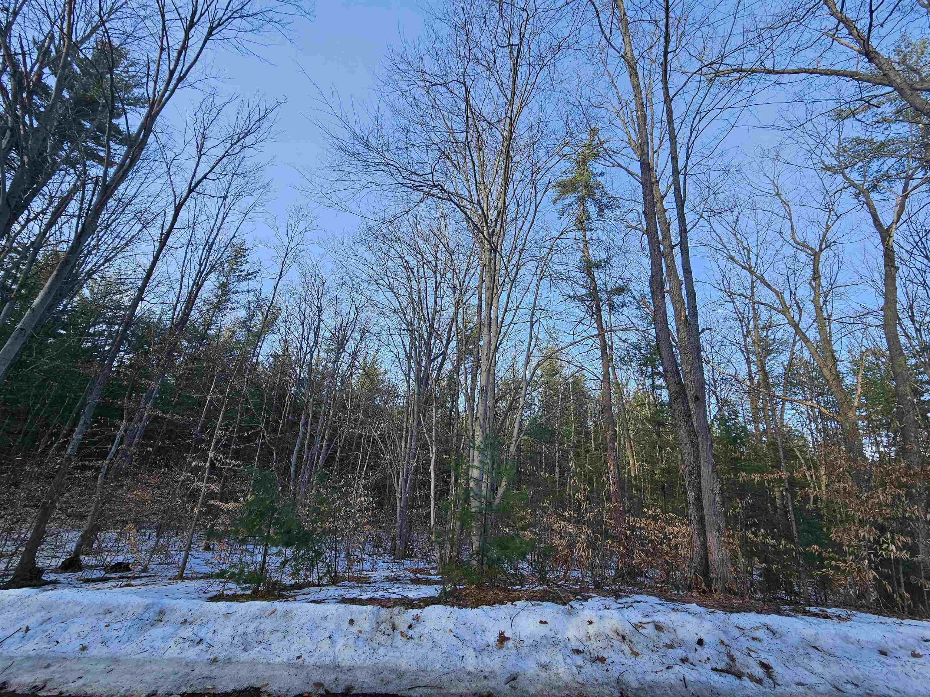 Lot 45 Woodwind Drive photo 2