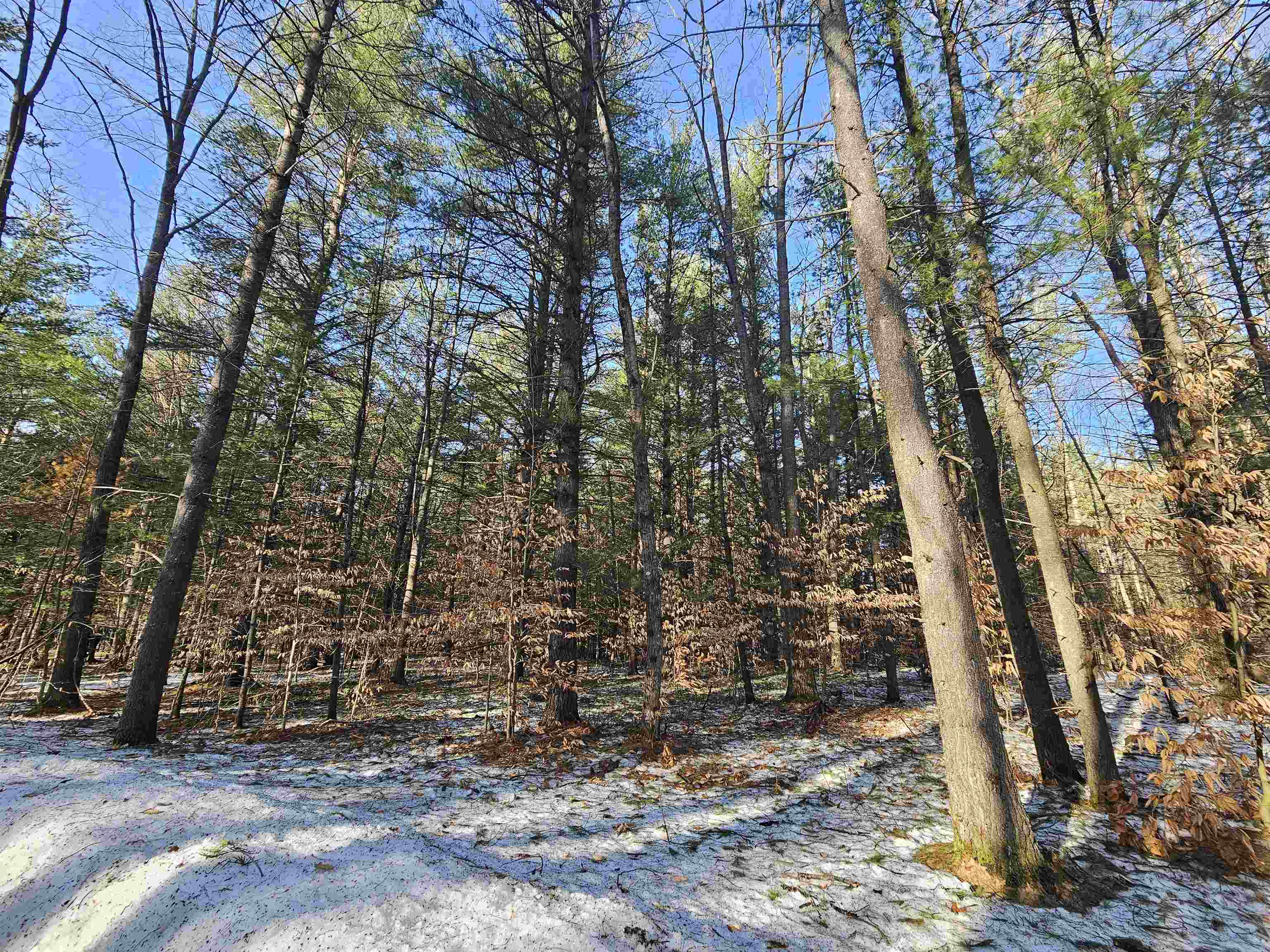 Lot 45 Woodwind Drive photo 3