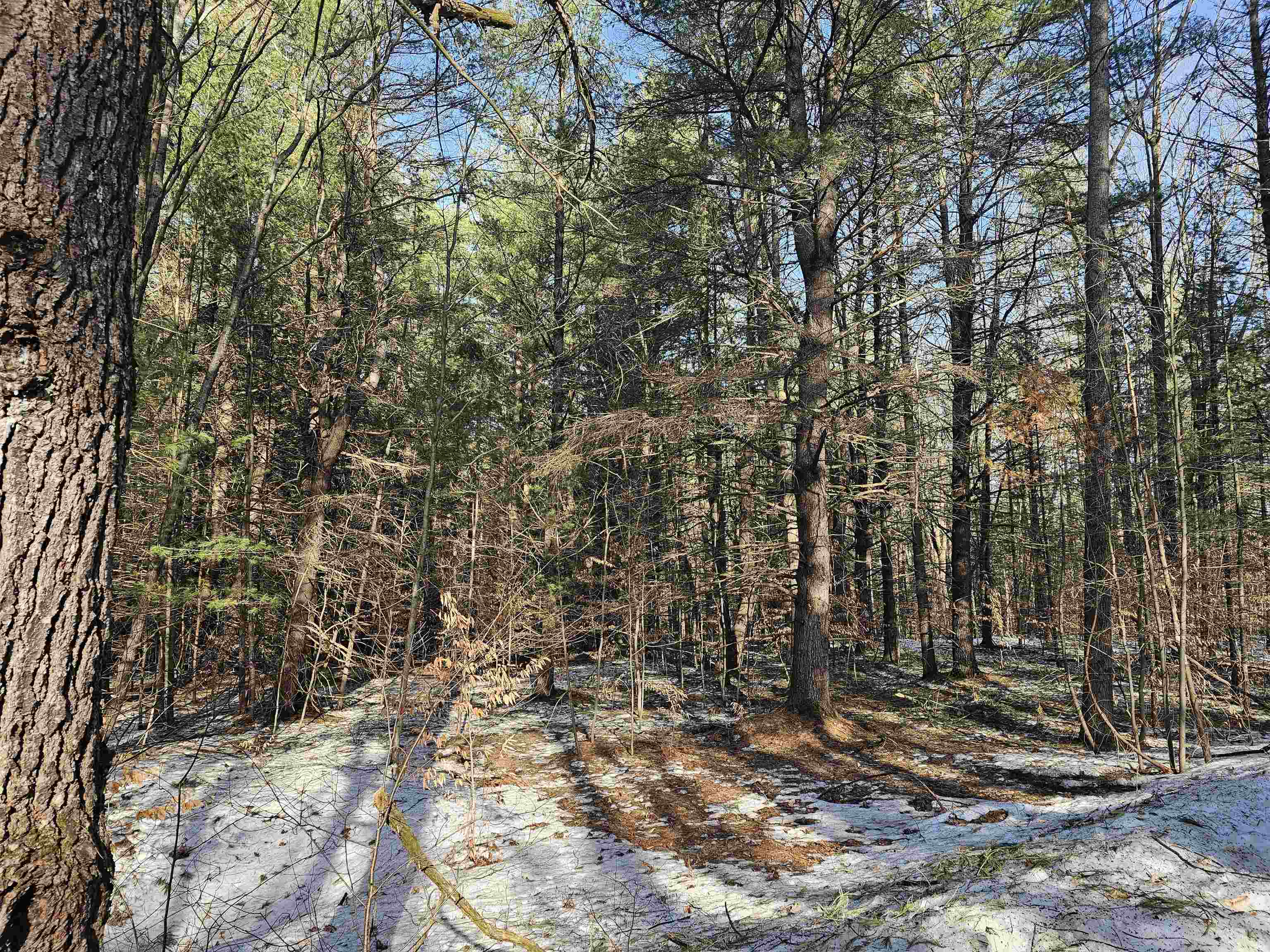 Lot 45 Woodwind Drive photo 4