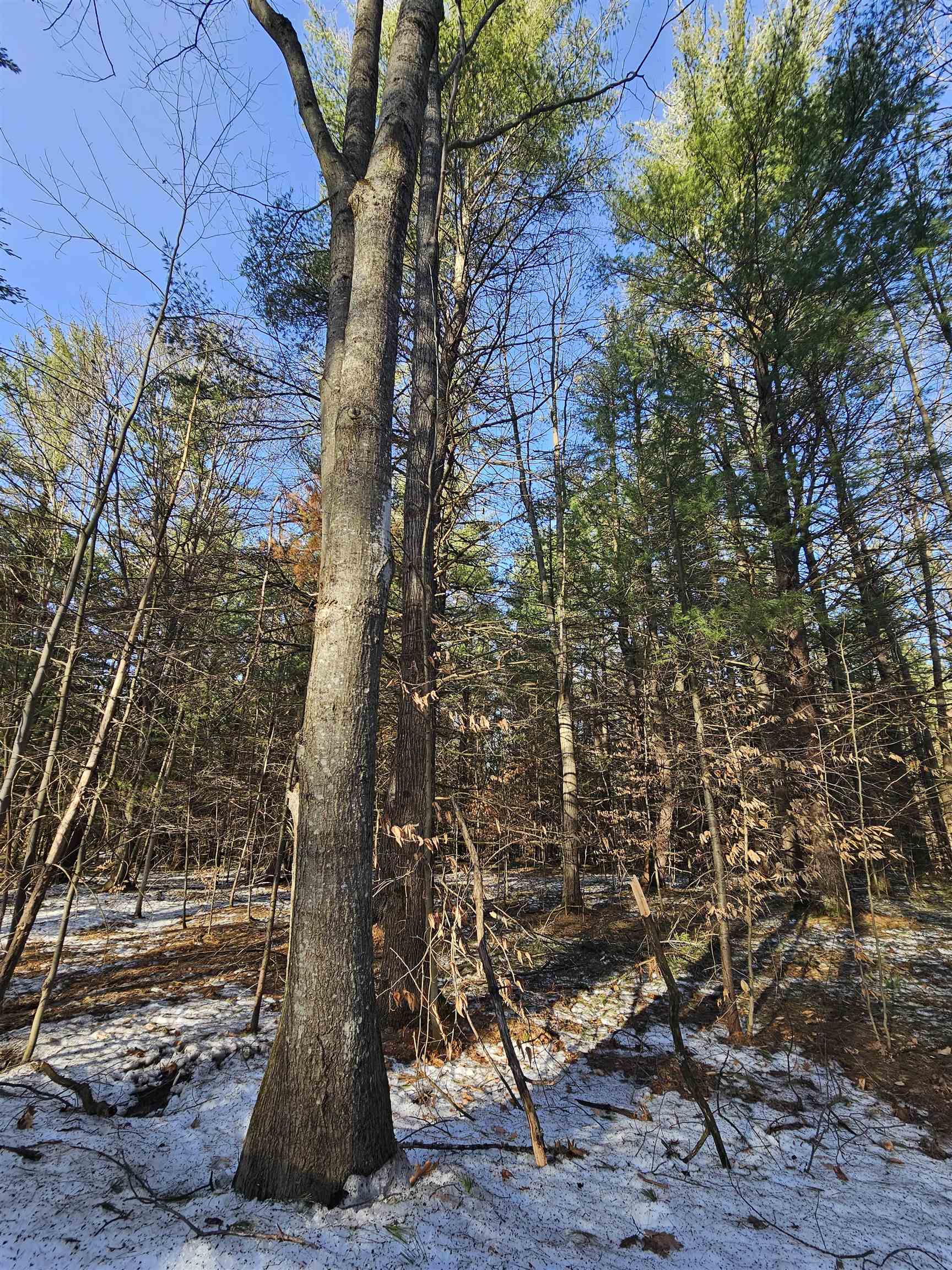 Lot 45 Woodwind Drive photo 5