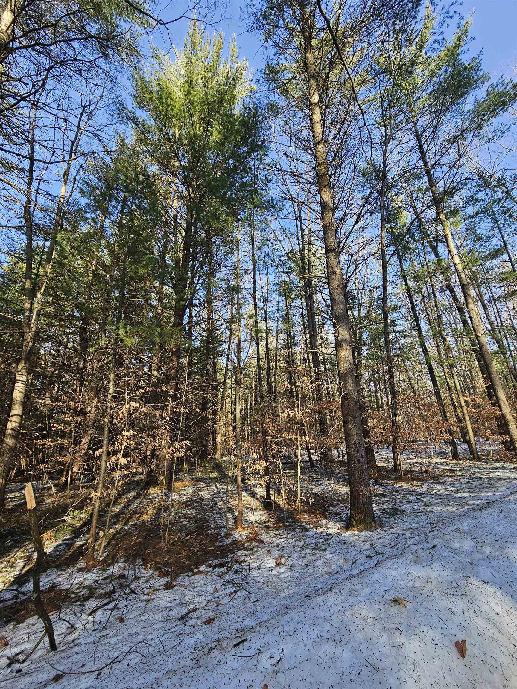 Lot 45 Woodwind Drive photo 6