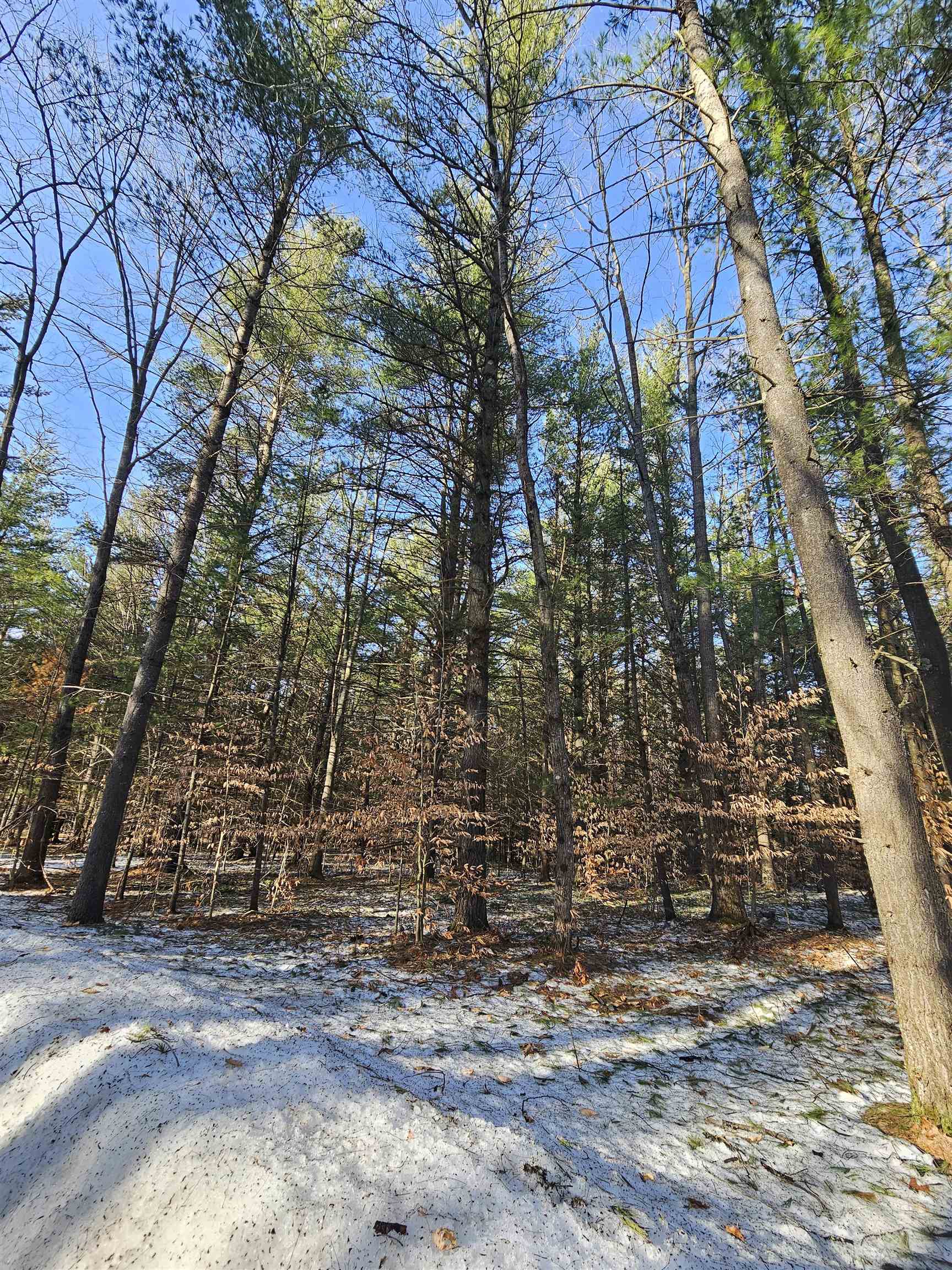 Lot 45 Woodwind Drive photo 8