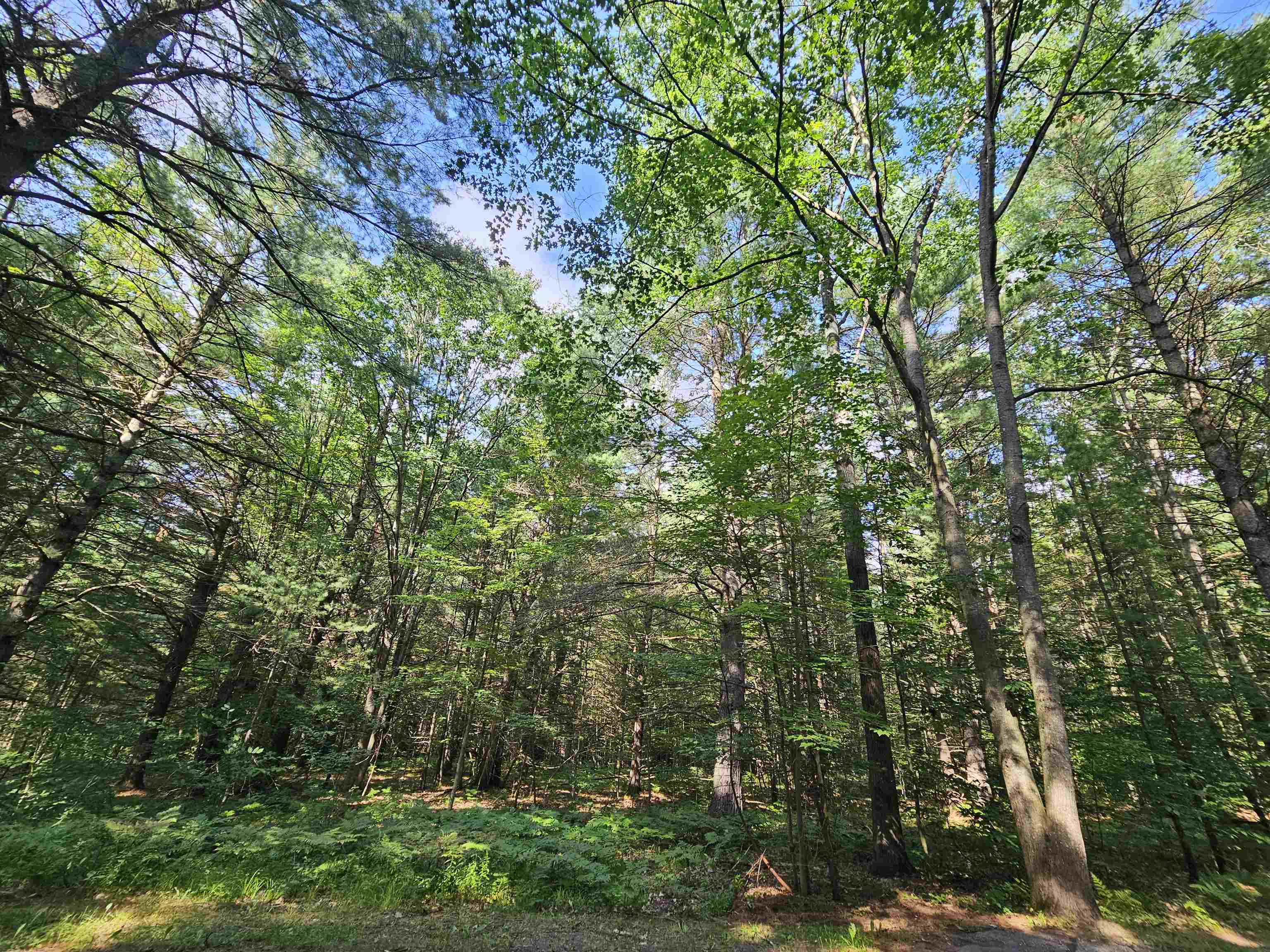 9th image of Lot 45 Woodwind Dr, Cadillac, MI 49601 | MLS# 78080065995