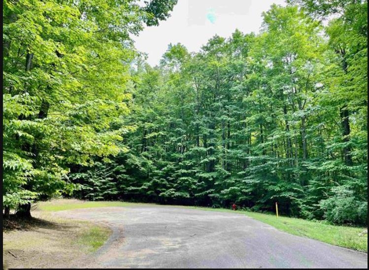 129-130 Laurel Valley photo 3