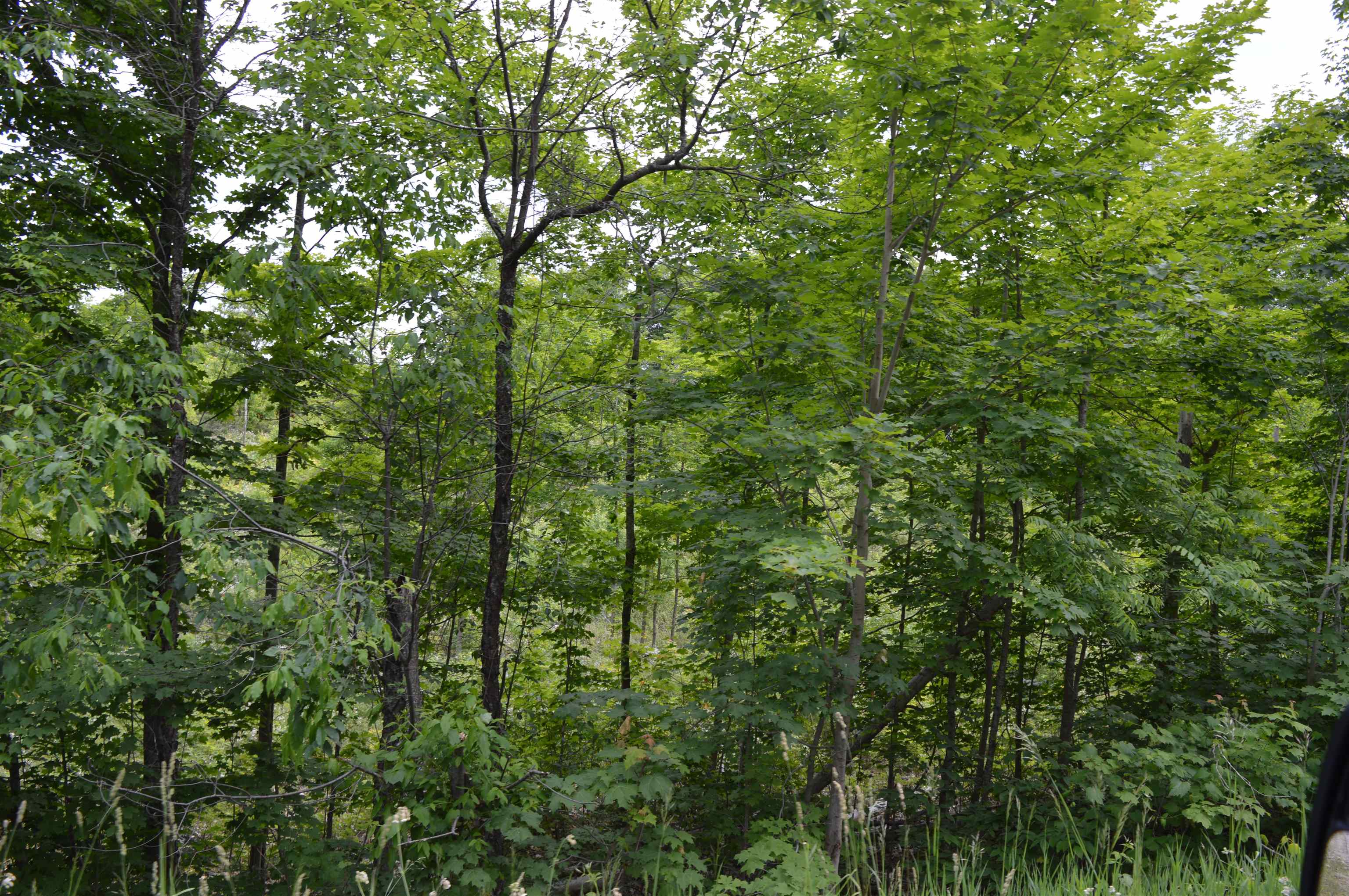 L Summit City Road Lot: L photo 15