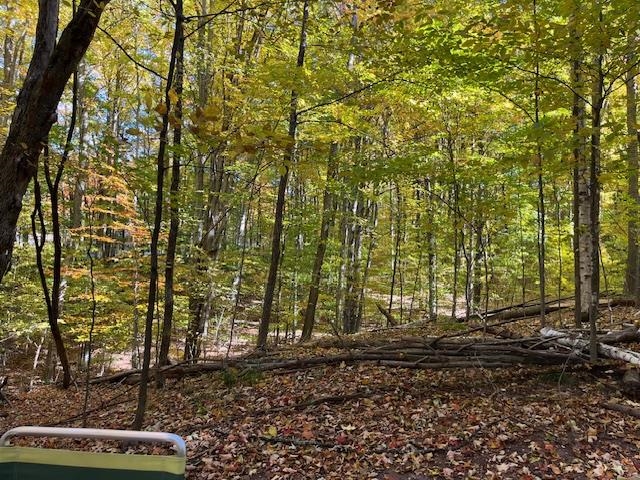 Homes for sale in Frankfort, MI | 00 Glory Rd, Frankfort, MI 49635 | MLS# 80066069