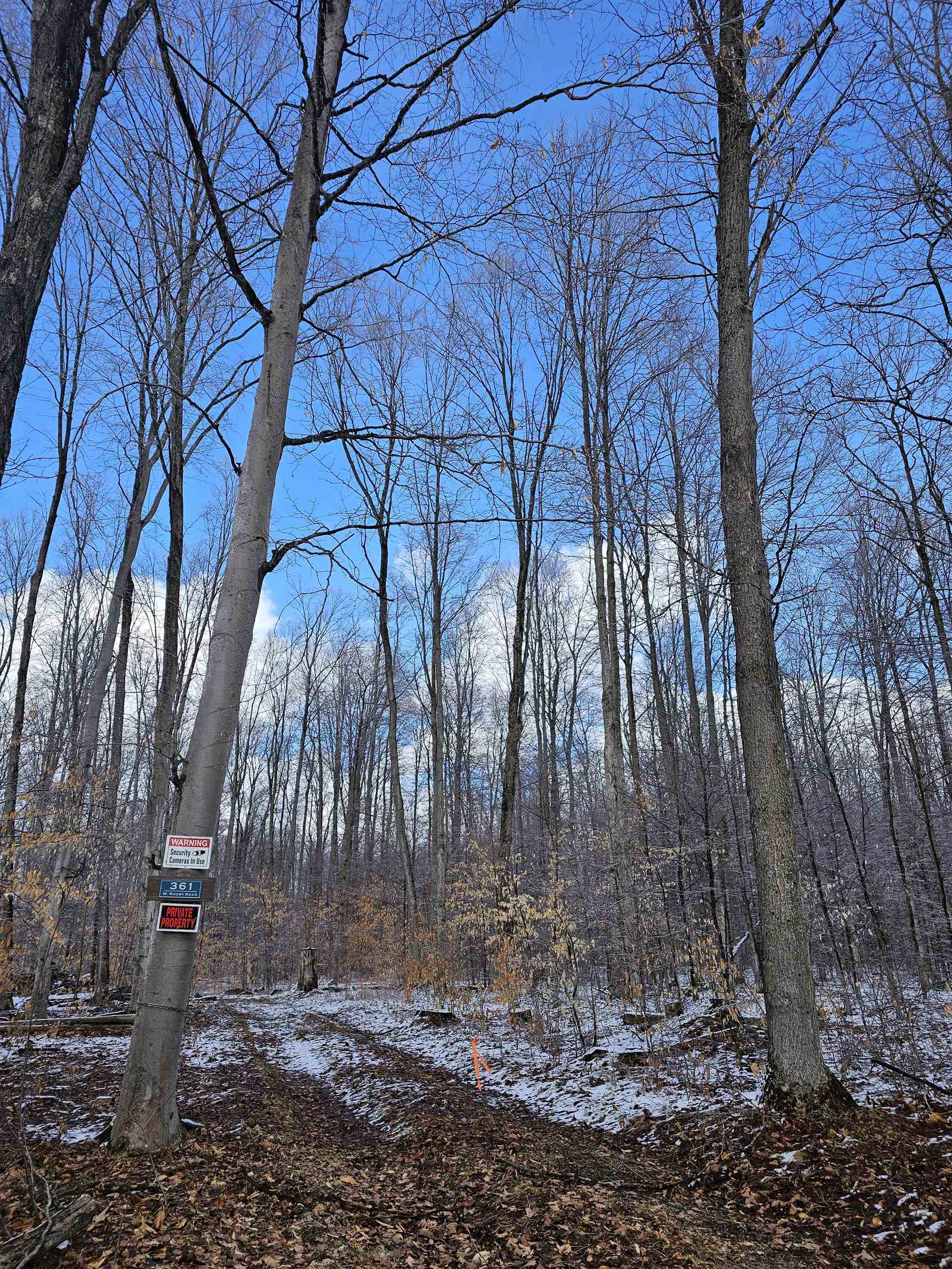 Homes for sale in Lake City, MI | 361 W Rhoby Rd, Lake City, MI 49651 | MLS# 80066071