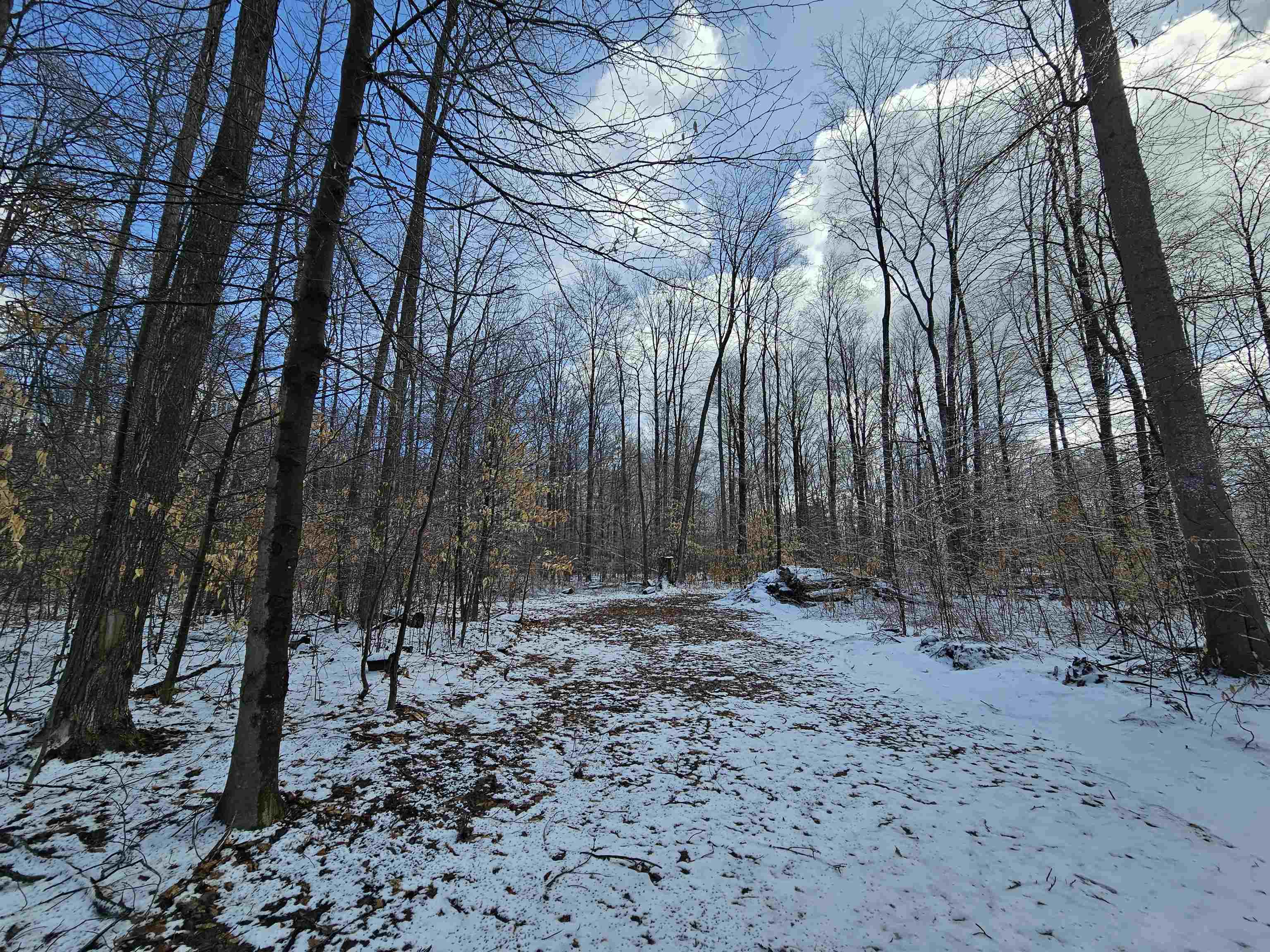 Homes for sale in Lake City, MI | 361 W Rhoby Rd, Lake City, MI 49651 | MLS# 80066071